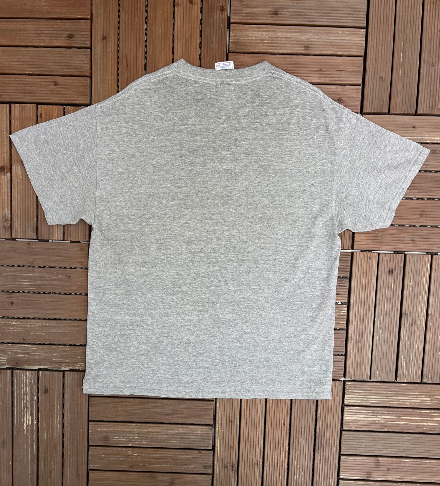 Indianapolis Colts Accomplishments Graphic Tee | Size X-Large | Vintage 2000s NFL Football Grey T-Shirt