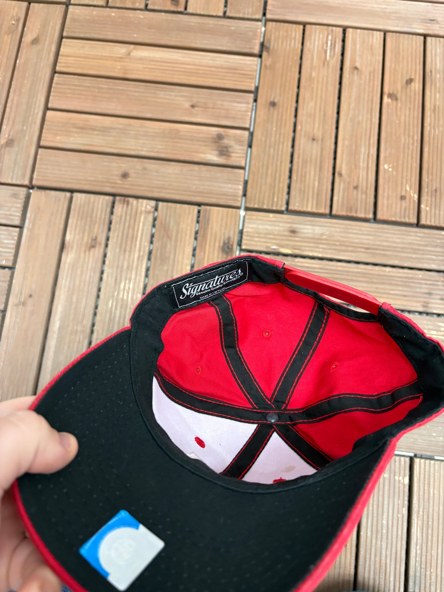 Wisconsin Badgers Embroidered Graphic Hat | Snap Back | Vintage 2000s College Sports Red Cap |