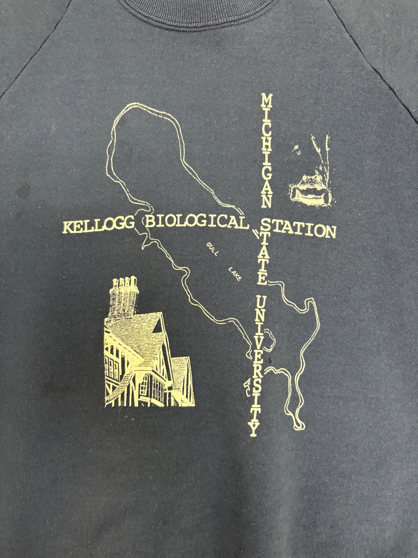 Kellogg Biological Station Michigan State University Graphic Crewneck | Size X-Large | Vintage 1980s College Blue Sweater |