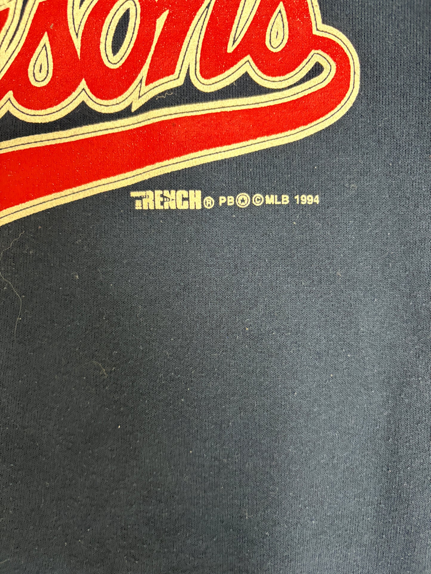 Buffalo Bisons Graphic Crewneck | Size Small | Vintage 1990s MiLB Baseball Blue Sweater |