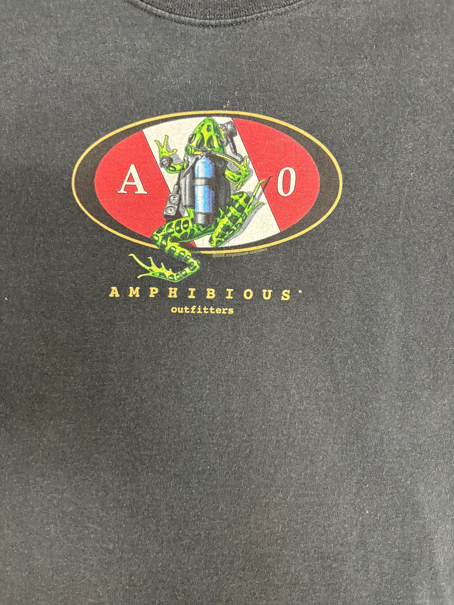 Amphibious Outfitters Frog Graphic Tee | Size Medium | Vintage 2000s Animal Promotional Black T-Shirt |