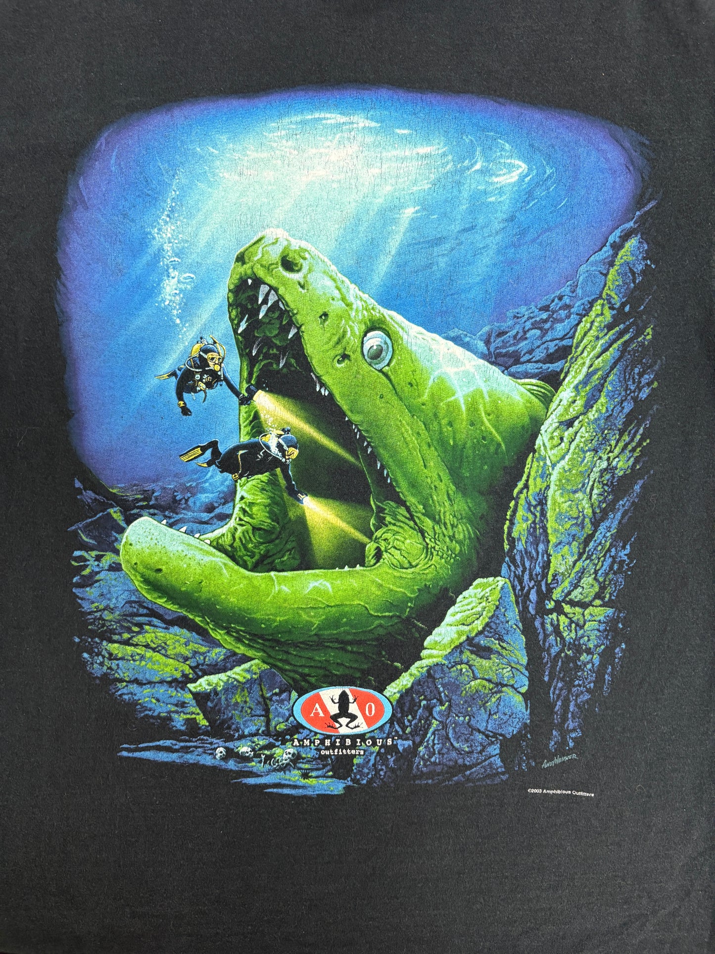 Amphibious Outfitters Frog Graphic Tee | Size Medium | Vintage 2000s Animal Promotional Black T-Shirt |
