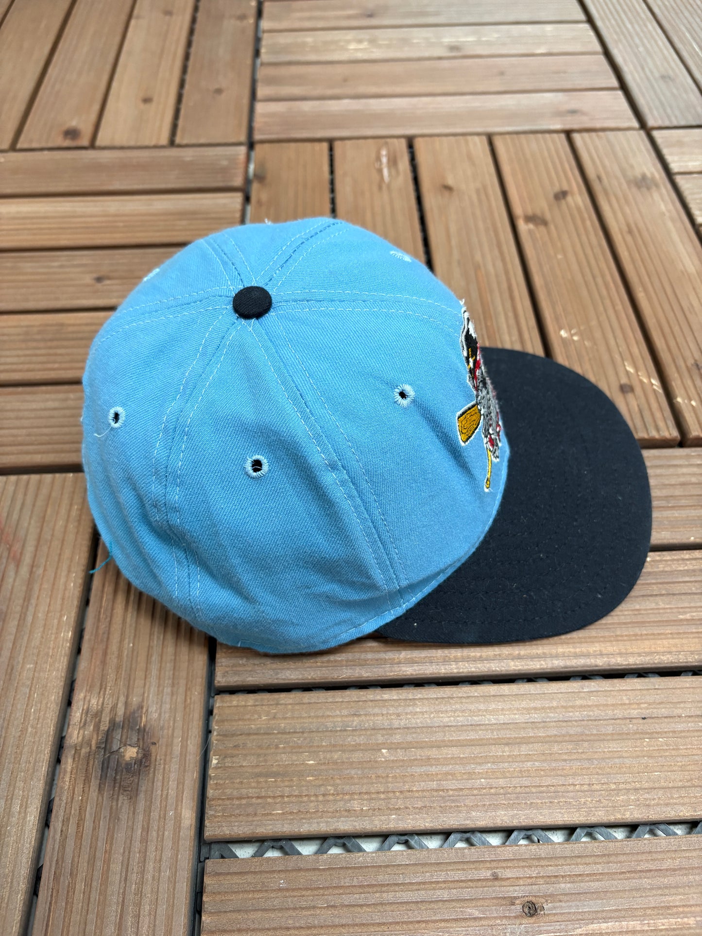 Erie SeaWolves Graphic Hat | Snap Back | Vintage 1990s MiLB Baseball Blue Cap |
