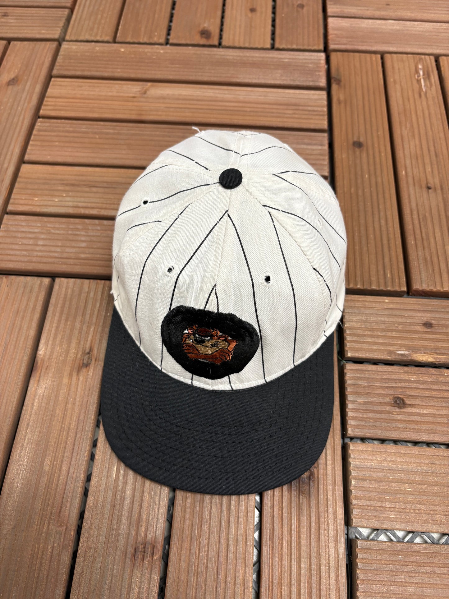 Taz Stitched Graphic Hat | Snap Back | Vintage 1990s Cartoon Pinstripe Cap |