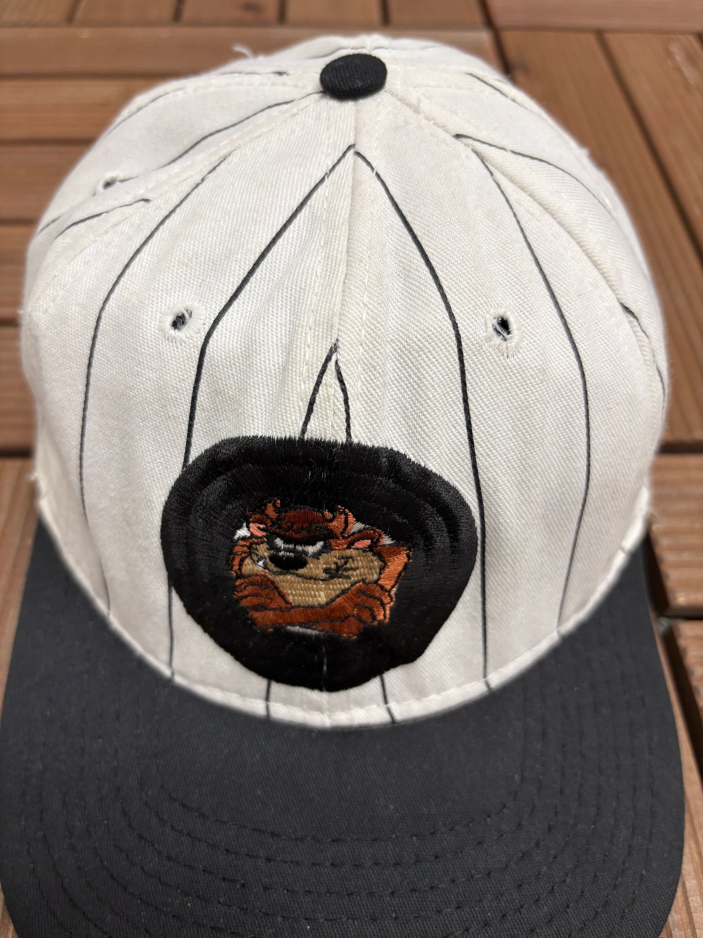 Taz Stitched Graphic Hat | Snap Back | Vintage 1990s Cartoon Pinstripe Cap |