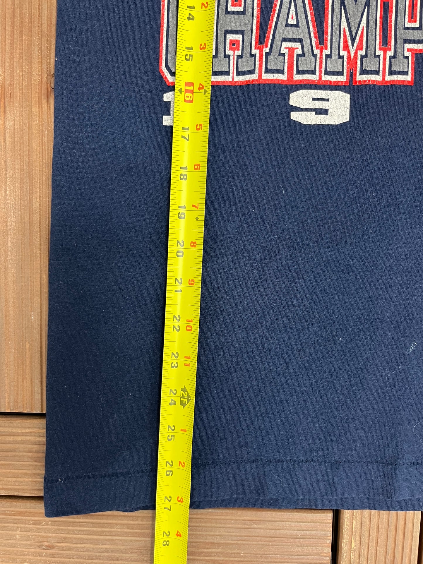 Minnesota Twins Division Champions 1991 Graphic Tee | Size Medium | Vintage 1990s MLB Baseball Blue T-Shirt |