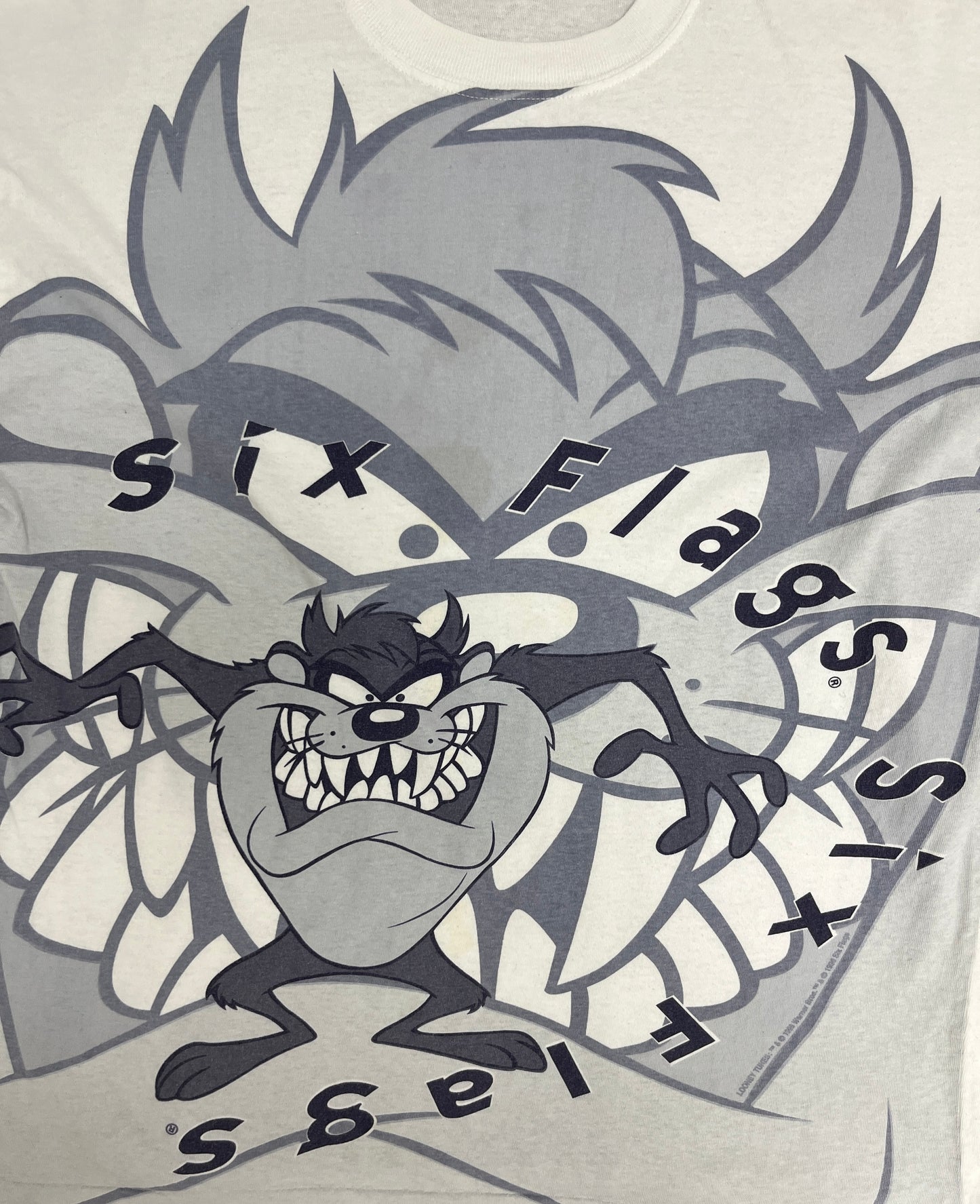 Taz Six Flags Graphic Tee | Size L/XL | Vintage 1990s Looney Tunes Cartoon White T-Shirt |