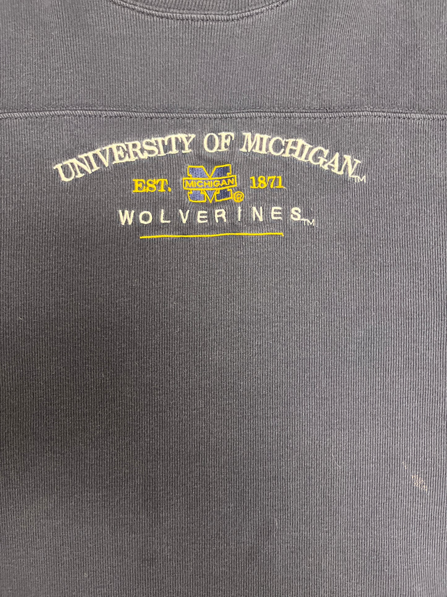 University of Michigan Wolverines Graphic Tee | Size X-Large | Vintage 2000s College Blue T-Shirt |