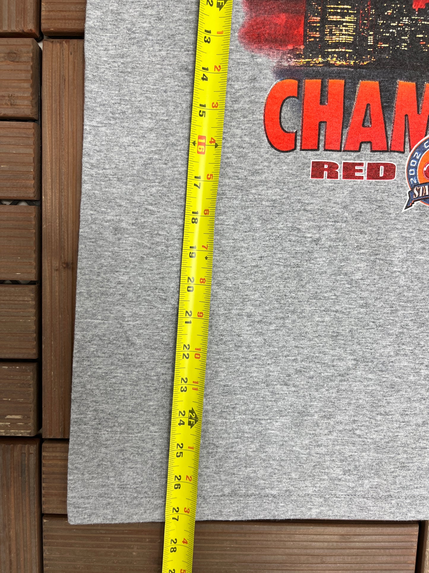 Detroit Red Wings Stanley Cup Champions 2002 Graphic Tee | Size Large | Vintage 2000s NHL Hockey Grey T-Shirt |