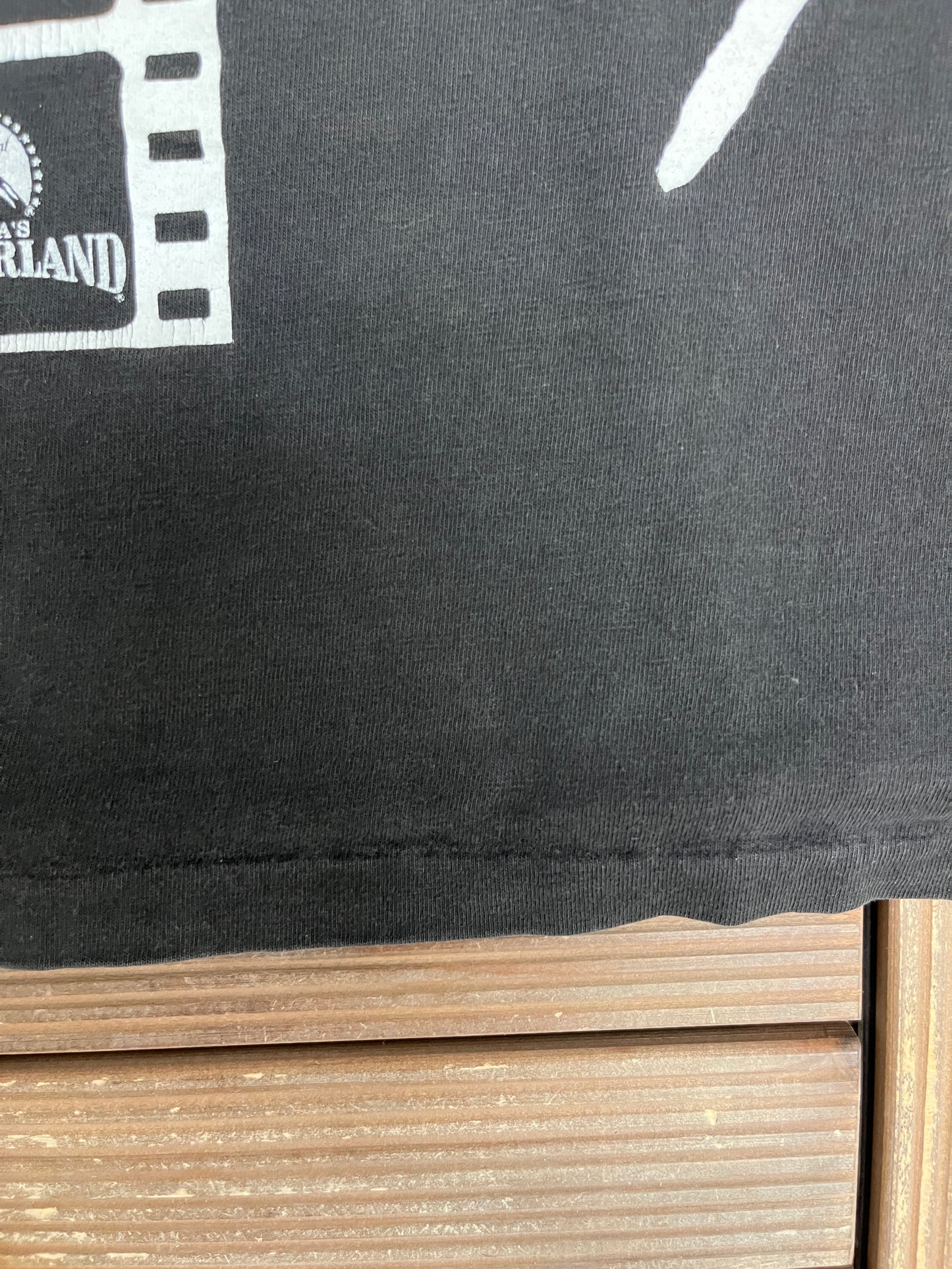 Paramount Canada's Wonderland Graphic Tee | Size Large | Vintage 1990s Theme Park Tank Top T-Shirt |