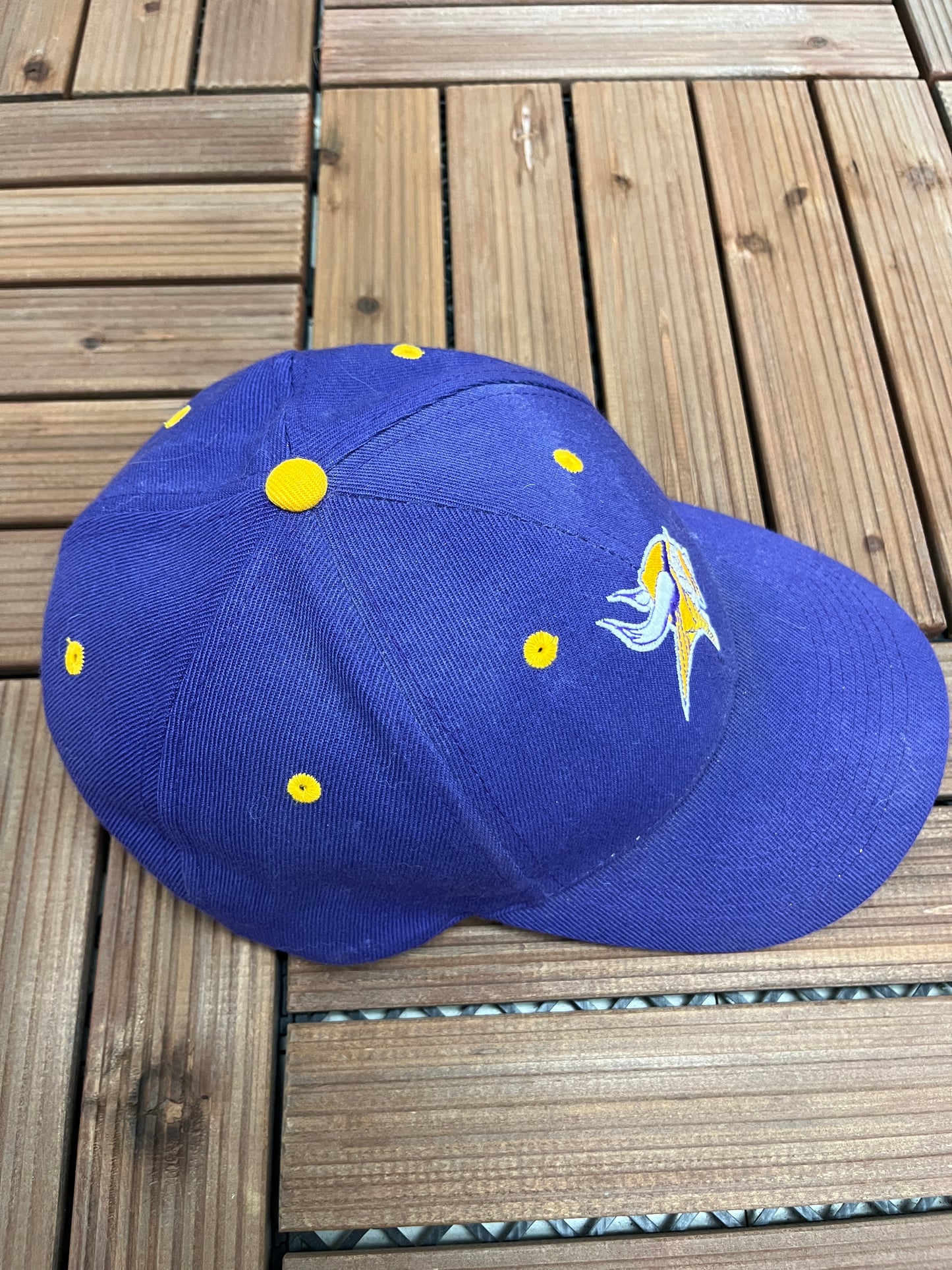 Minnesota Vikings Embroidered Graphic Hat | One Size Fits All With Snap Back | Vintage 2000s NFL Football Purple Cap | Free Shipping to USA|