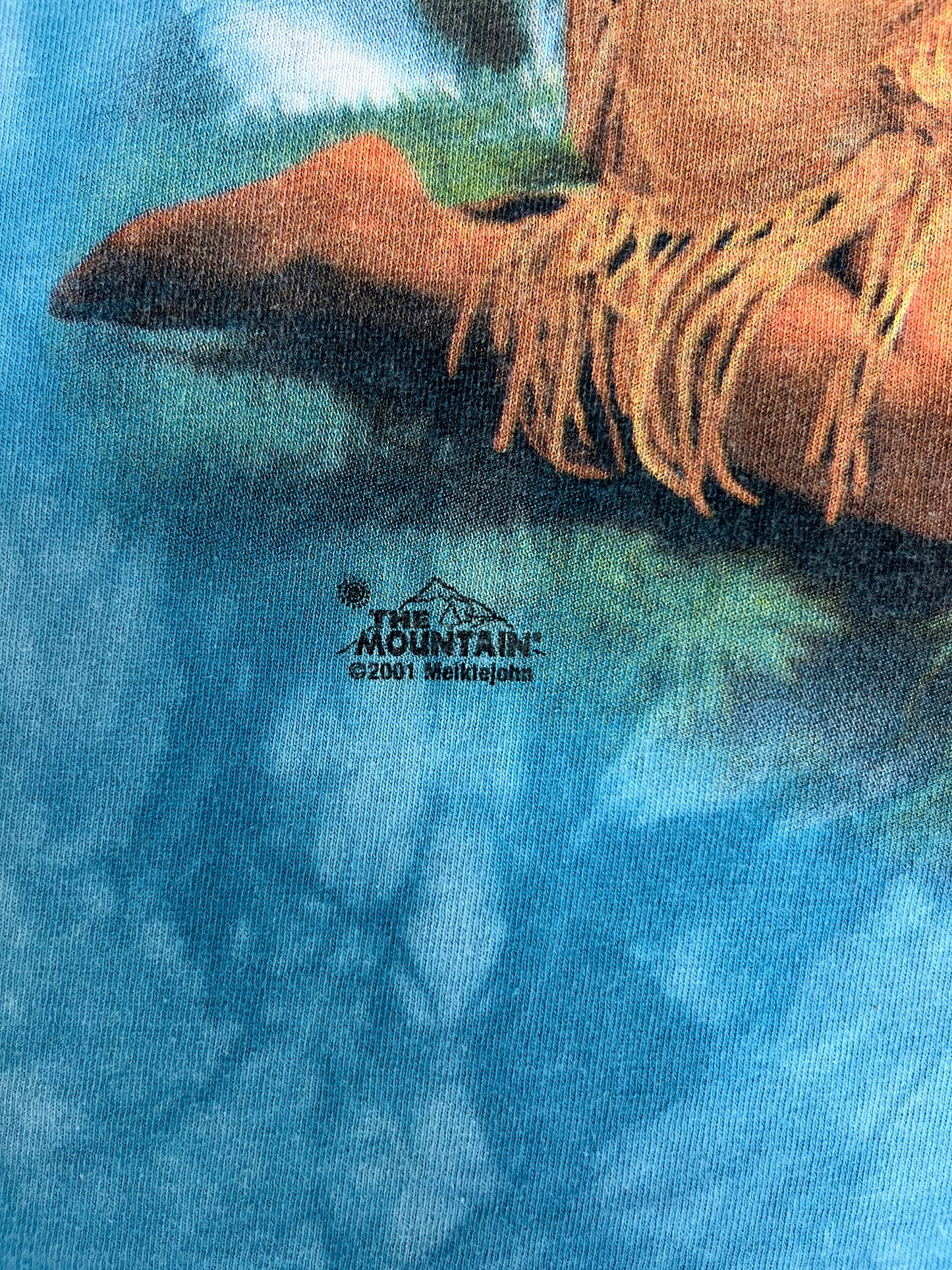 Native & Wolf Graphic Tee | Size XX-Large | Vintage 2000s Promotional Big Print Blue T-Shirt | The Mountain Tag | Free Shipping to USA |