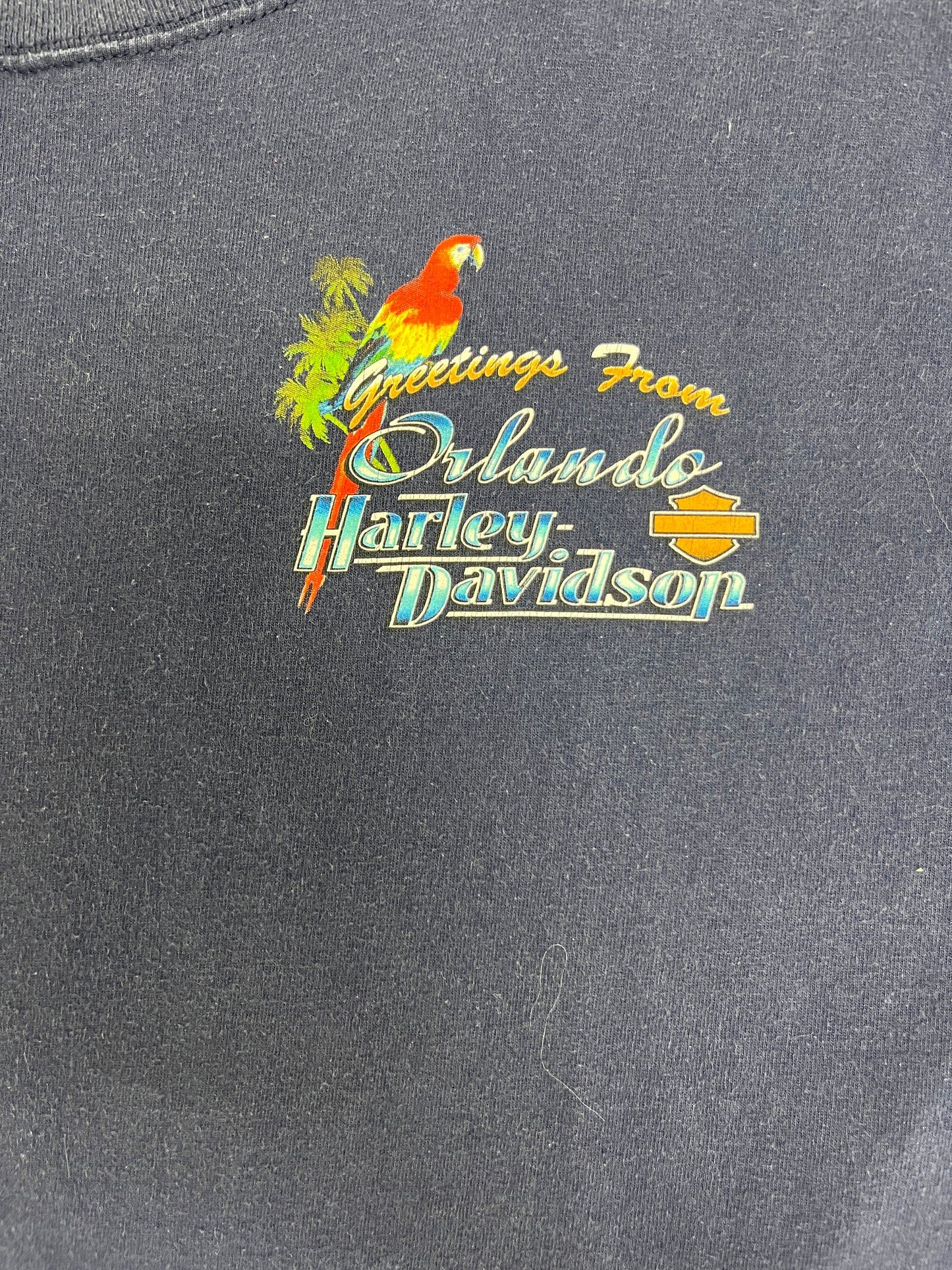 Harley Davidson Orlando, Florida Graphic Tee | Size Medium | Vintage 2000s Biker Motorcycle Blue T-Shirt | Free Shipping to USA |