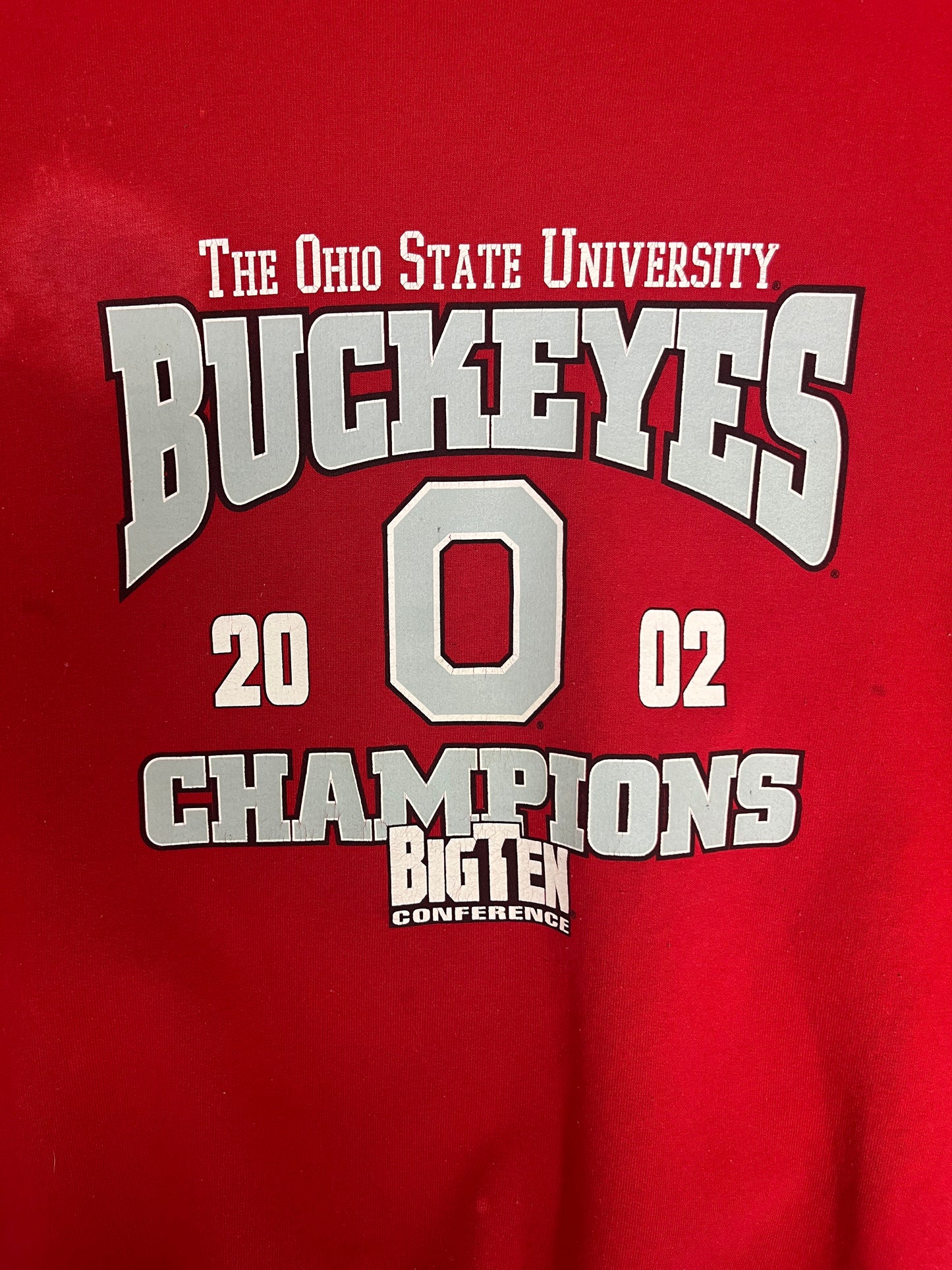 Ohio State Buckeyes Big Ten Champions Graphic Crewneck | Size Large | Vintage 2000s College Red Sweater |