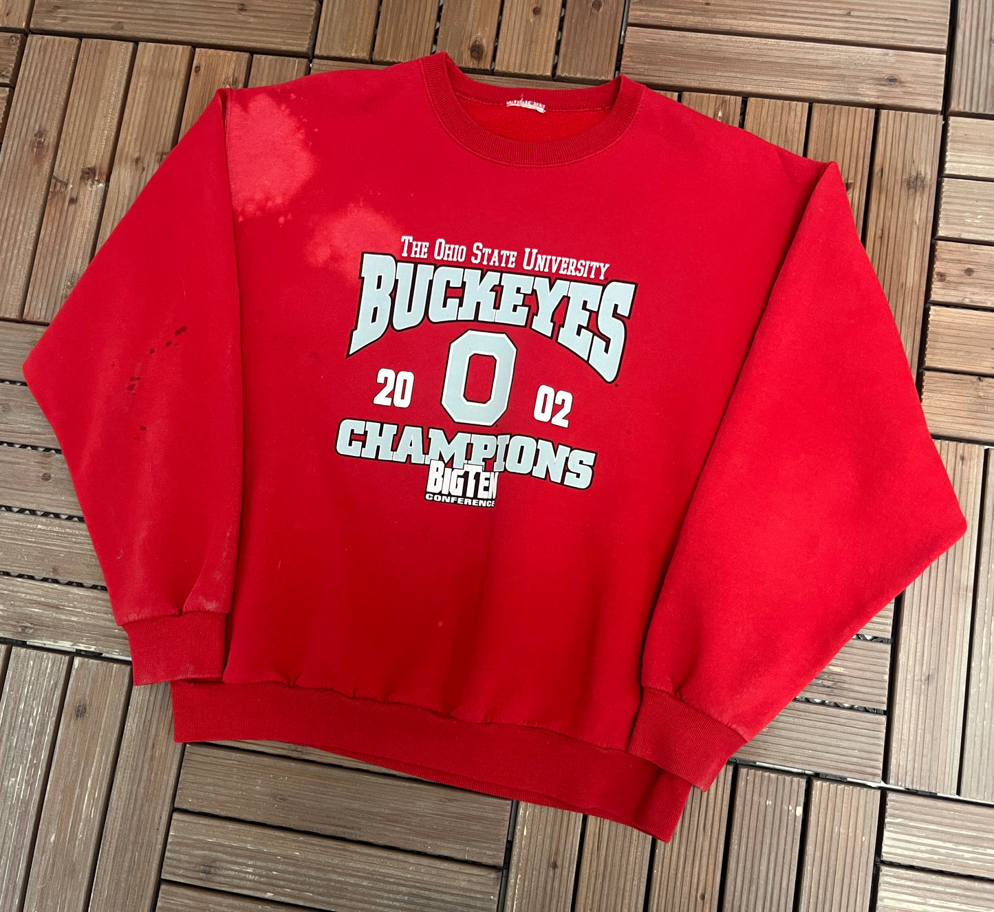 Ohio State Buckeyes Big Ten Champions Graphic Crewneck | Size Large | Vintage 2000s College Red Sweater |