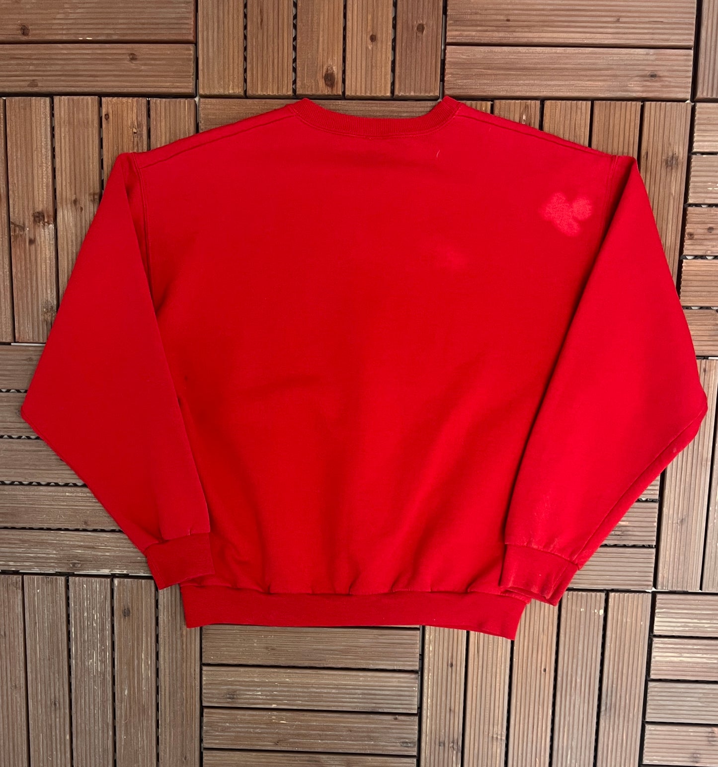 Ohio State Buckeyes Big Ten Champions Graphic Crewneck | Size Large | Vintage 2000s College Red Sweater |