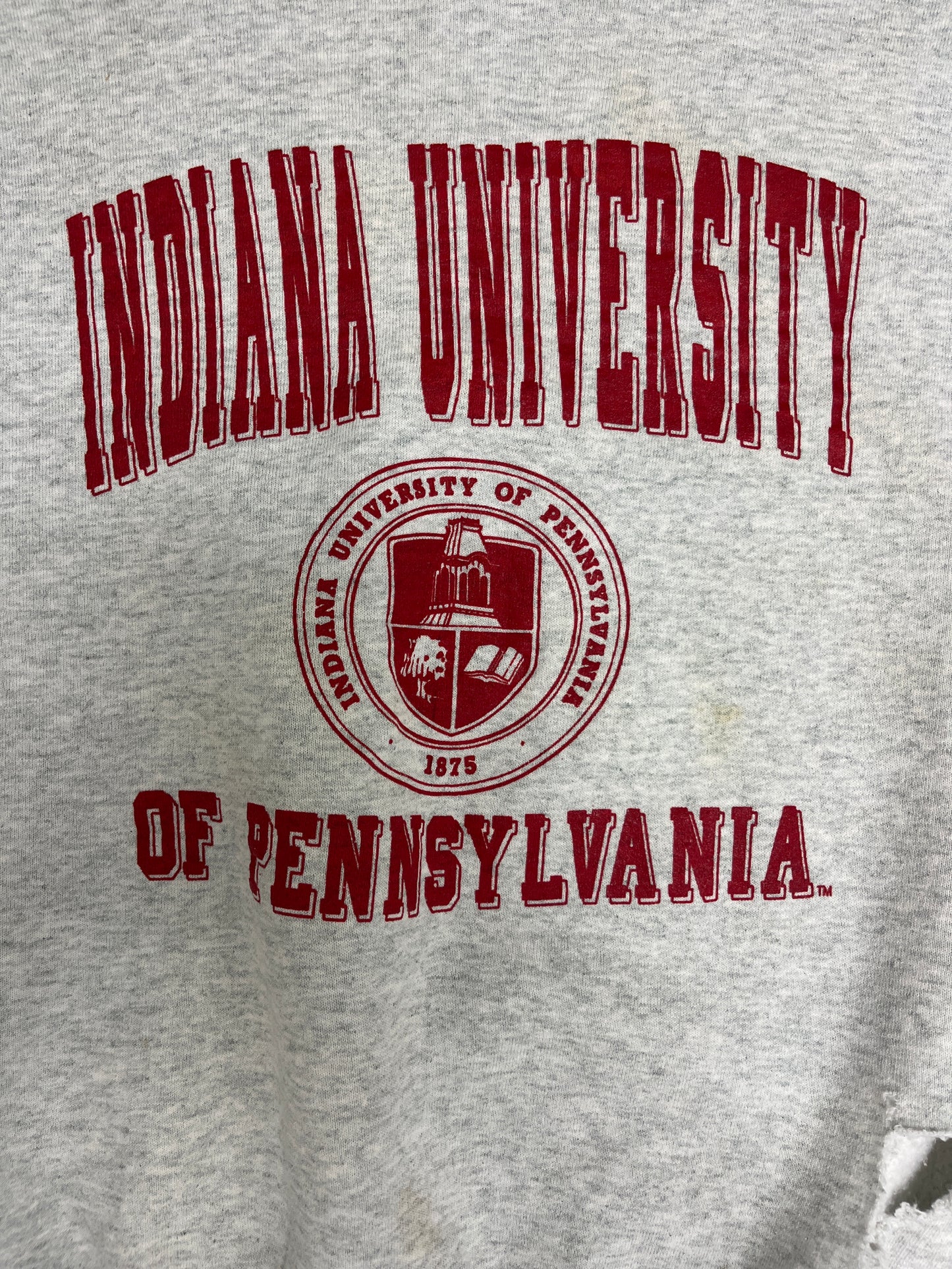 Indiana University of Pennsylvania Graphic Crewneck | Size X-Large | Vintage 1990s College Sports Grey Sweater |