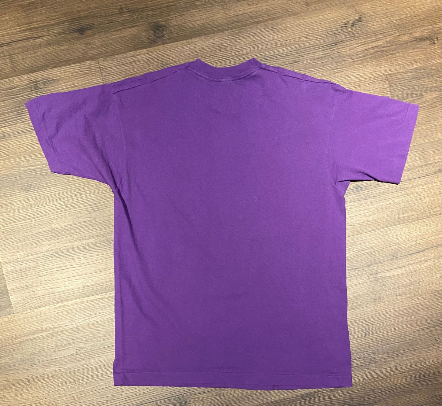 SOFF Special Olympics Family Festival Illinois Graphic Tee | Size XL | Vintage 1990s Single Stitch Purple T-Shirt |