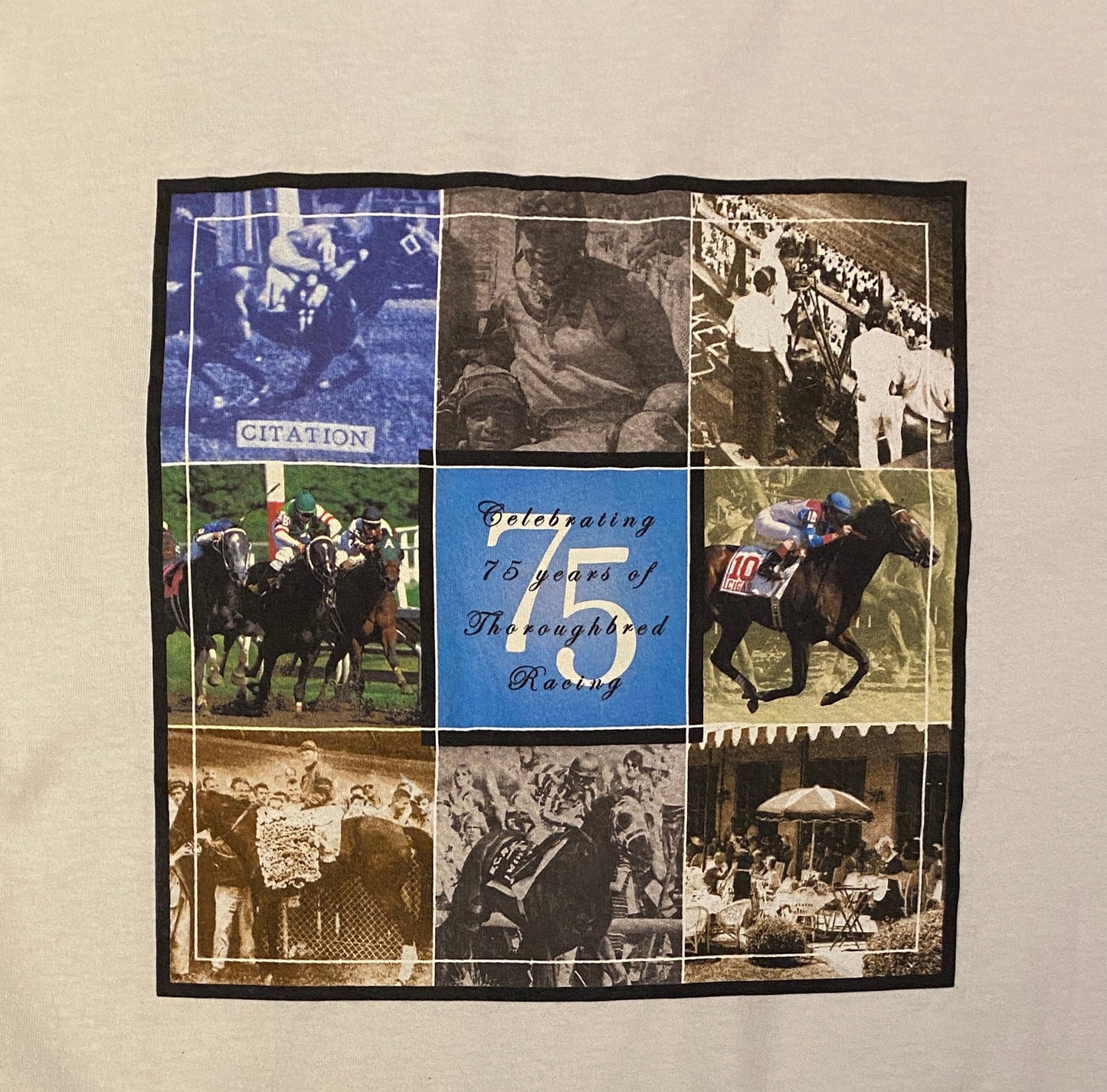 Arlington Park 75th Anniversary Graphic Tee | Size XL | Vintage 2000s Horse Thoroughbred Racing White T-Shirt | Free Shipping to USA |