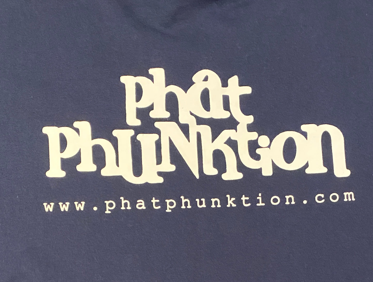 Phat Phunktion Graphic Tee | Size Large | Vintage 2000s American Funk Band Blue T-Shirt | Free Shipping to USA |