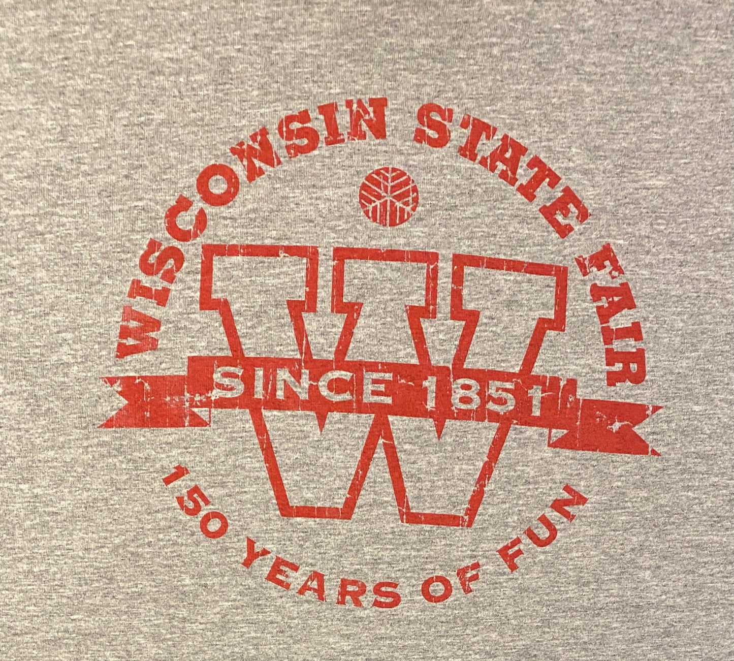Wisconsin State Fair 150 Years of Fun Graphic Tee | Size Large | Vintage 2000s State Fair Grey T-Shirt | Free Shipping to USA |