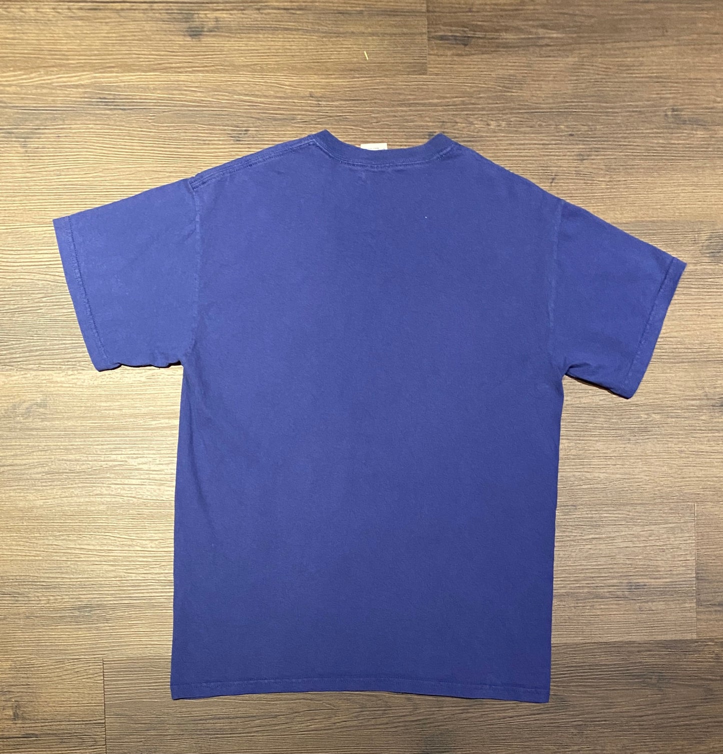 Eagles In The Sky Graphic Tee | Size Medium | Vintage 2000s Retro Animal Graphic Blue T-Shirt |