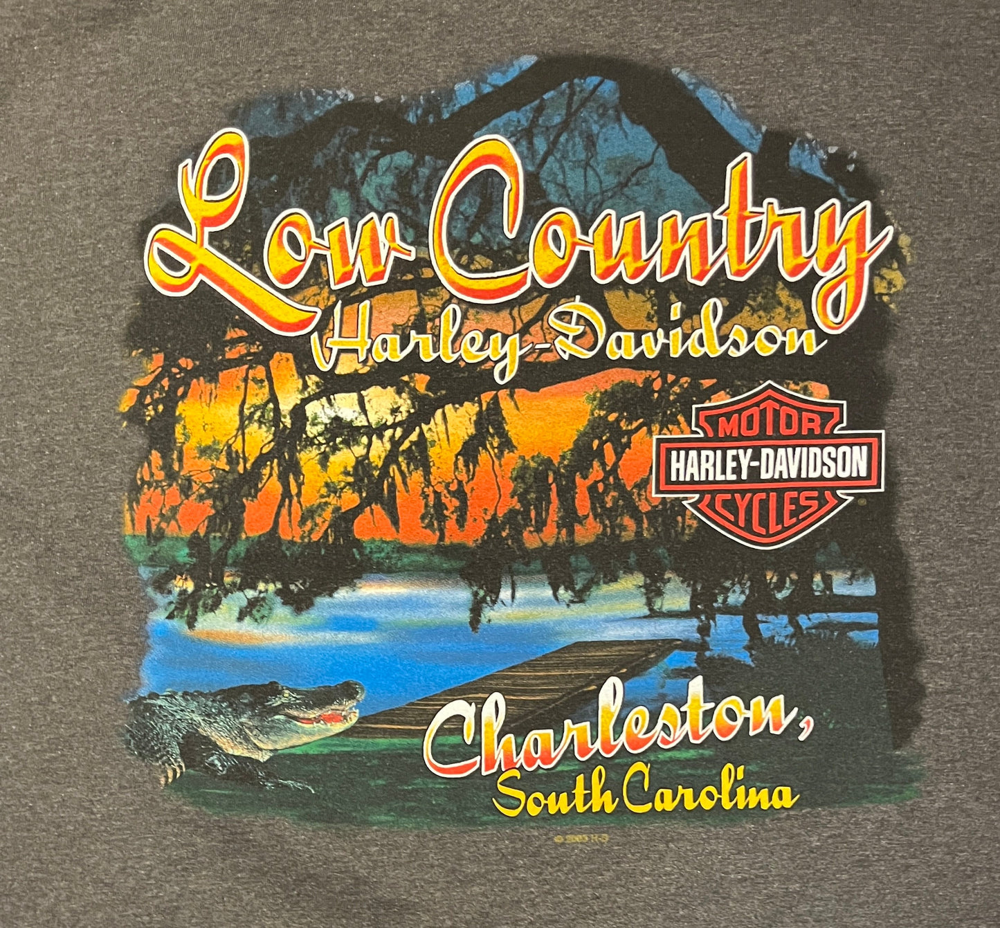 Harley Davidson Charleston, South Carolina Graphic Tee | Size XX-Large | Vintage 2000s Biker Grey T-Shirt | Free Shipping to USA |