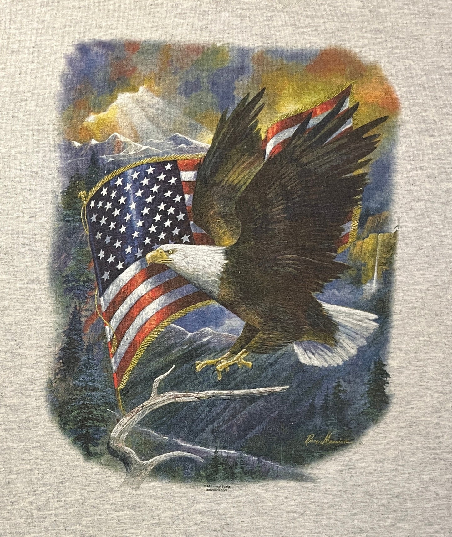 Bald Eagles In The Sky Graphic Tee | Size X-Large | Vintage 2000s Retro Animal Graphic Grey T-Shirt | Free Shipping to USA |