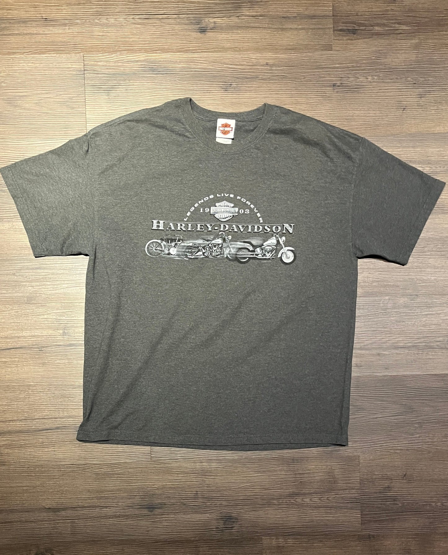 Harley Davidson Charleston, South Carolina Graphic Tee | Size XX-Large | Vintage 2000s Biker Grey T-Shirt | Free Shipping to USA |