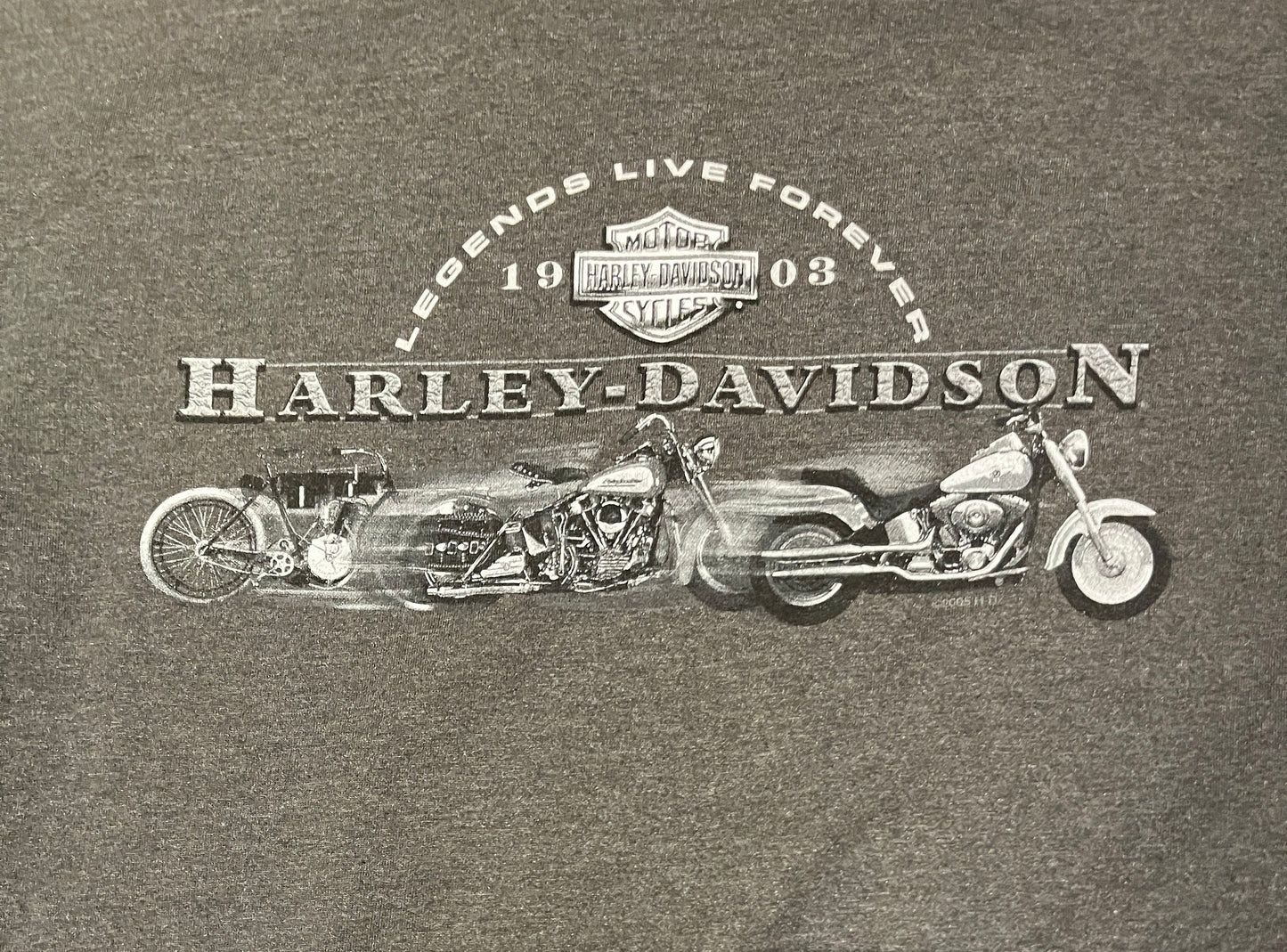 Harley Davidson Charleston, South Carolina Graphic Tee | Size XX-Large | Vintage 2000s Biker Grey T-Shirt | Free Shipping to USA |