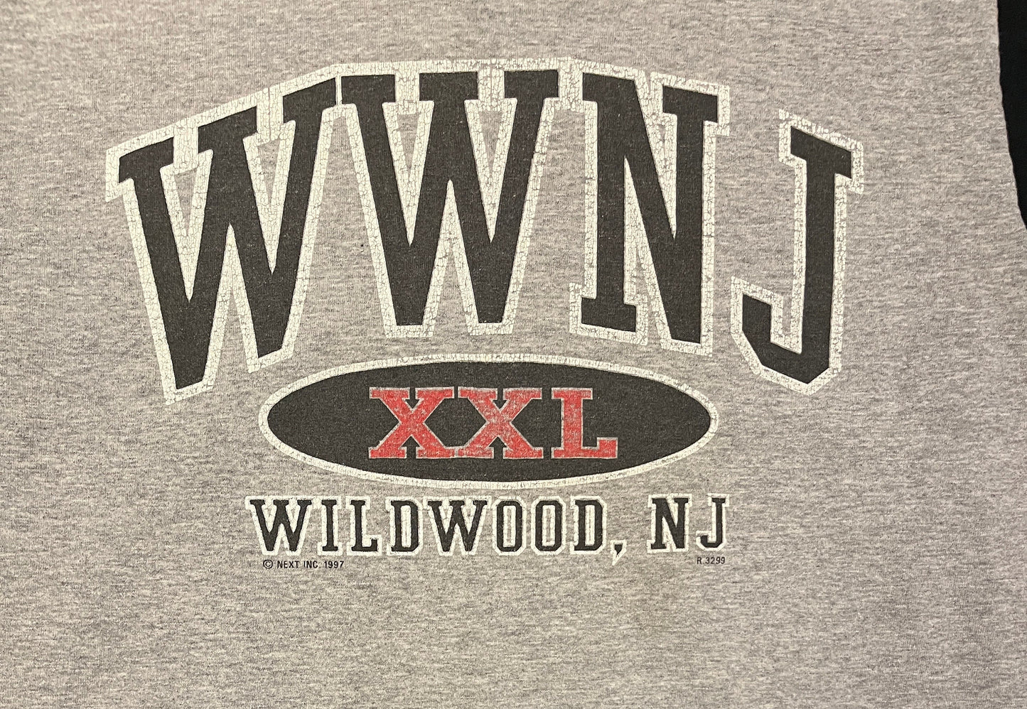 Wildwood, New Jersey Graphic Tee | Size Large | Vintage 1990s Tourist Grey T-Shirt | American City Tourist | Free Shipping to USA |