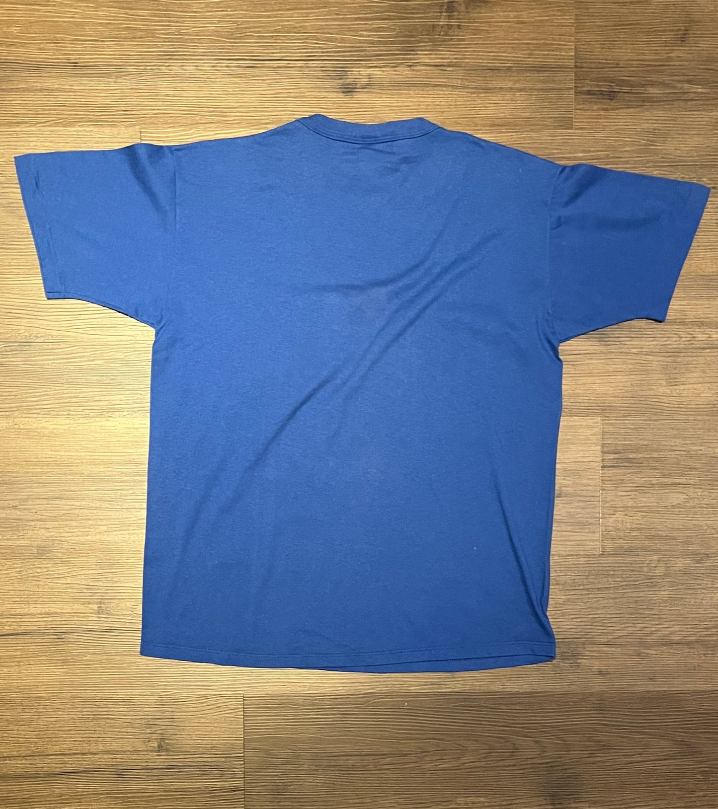 Dairyland Healthcare Conference 1993 Graphic Tee | Size Large | Vintage 1990s Russell Athletic T-Shirt | Made in USA | Free Shipping to USA|