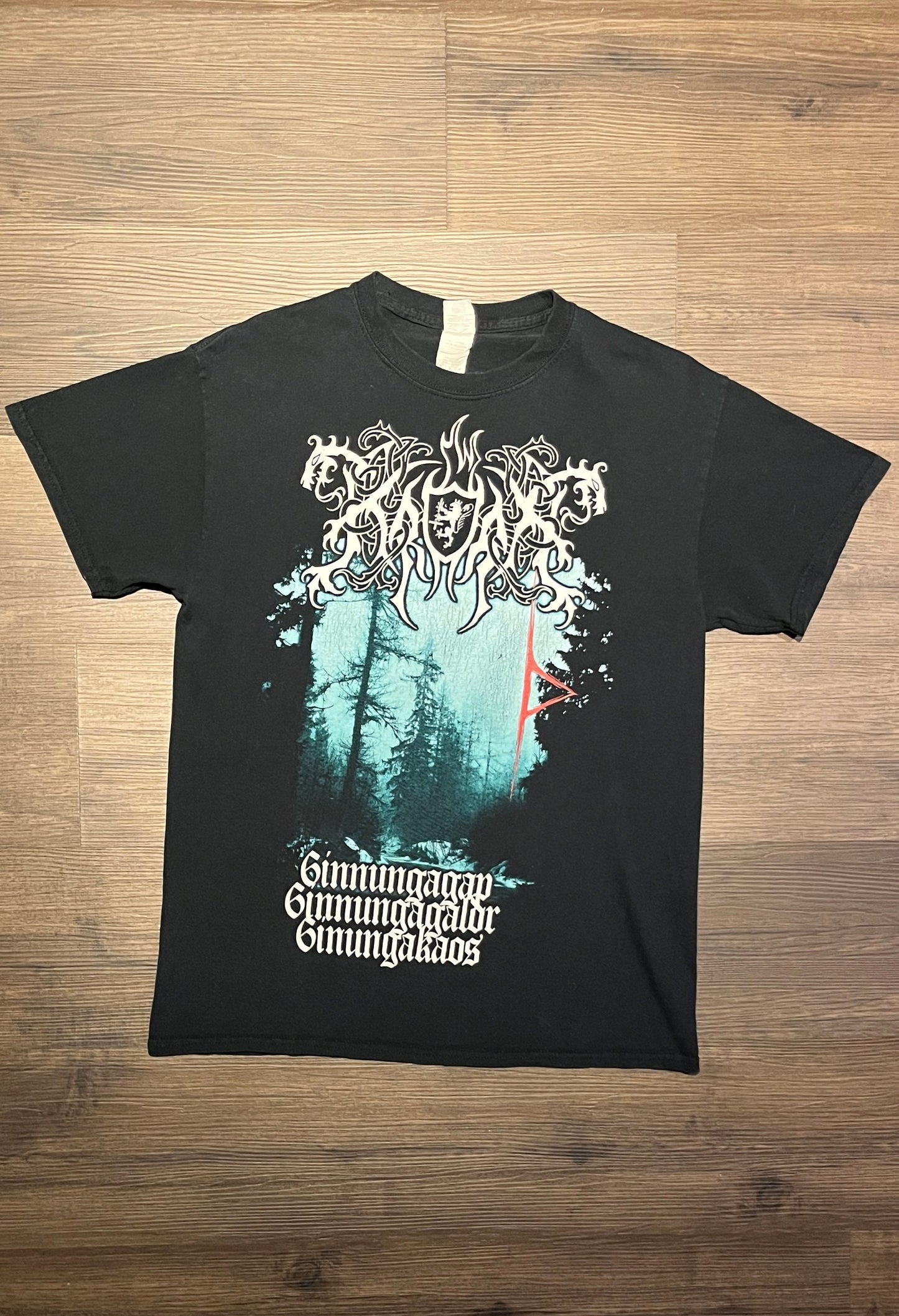 666 Heavy Metal / Death Metal Graphic Tee | Size Medium | Vintage 2000s Heavy Metal Band Music Black T-Shirt | Free Shipping to USA |