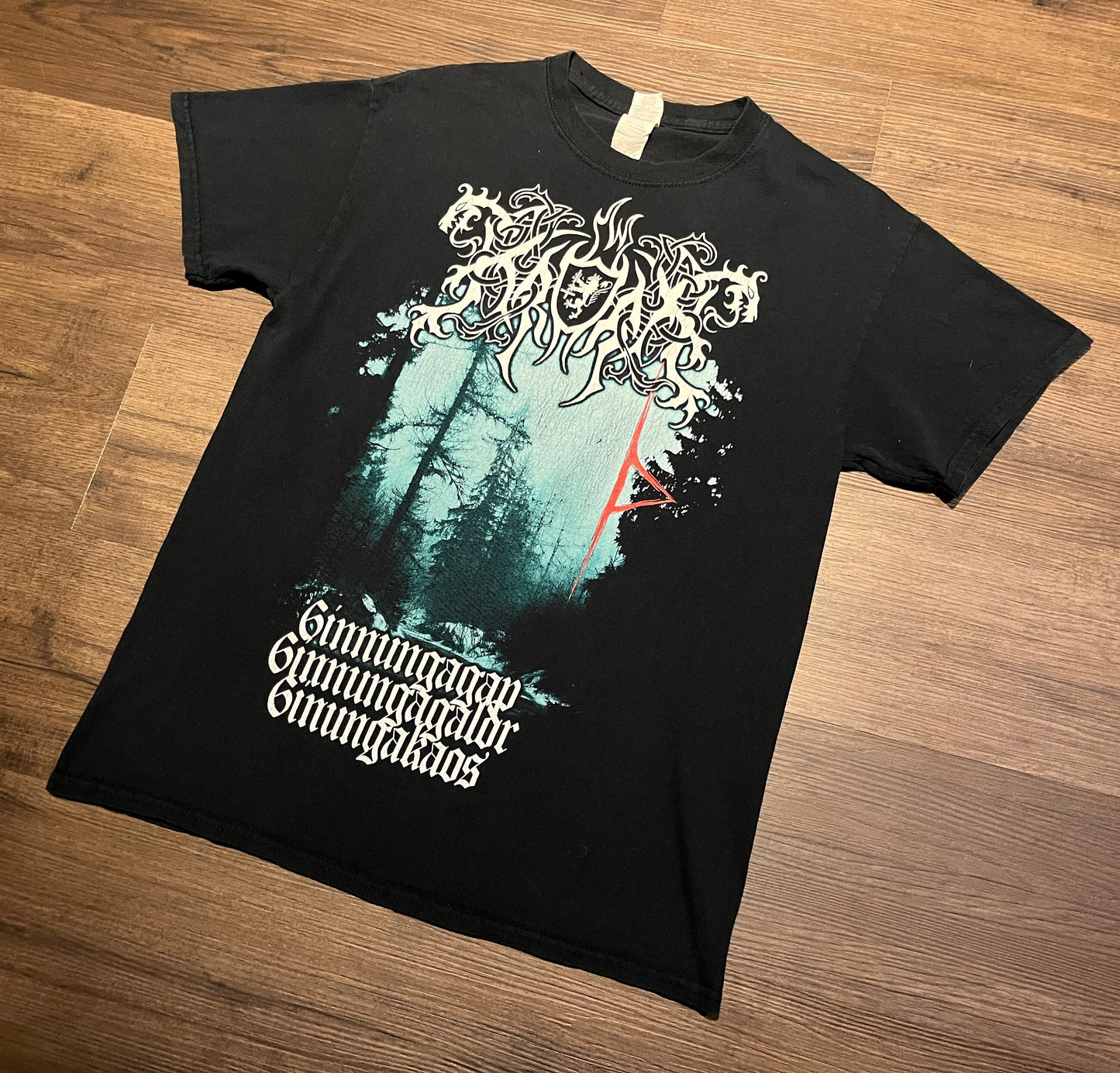 666 Heavy Metal / Death Metal Graphic Tee | Size Medium | Vintage 2000s Heavy Metal Band Music Black T-Shirt | Free Shipping to USA |