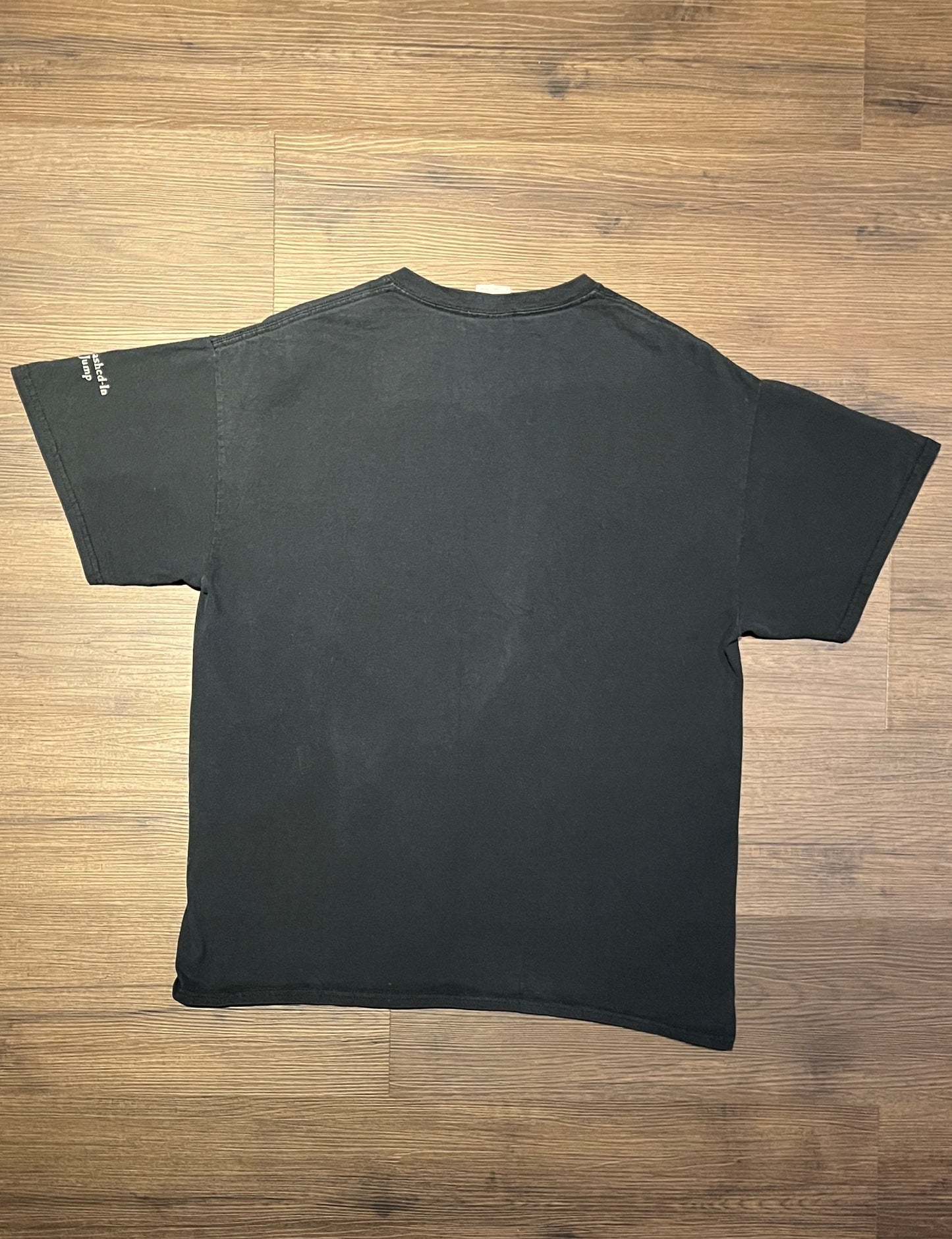 Wolf & Eagle Dreamcatcher Graphic Tee | Size Large | Vintage 2000s Animal Dreamcatcher Black T-Shirt | Free Shipping to USA |