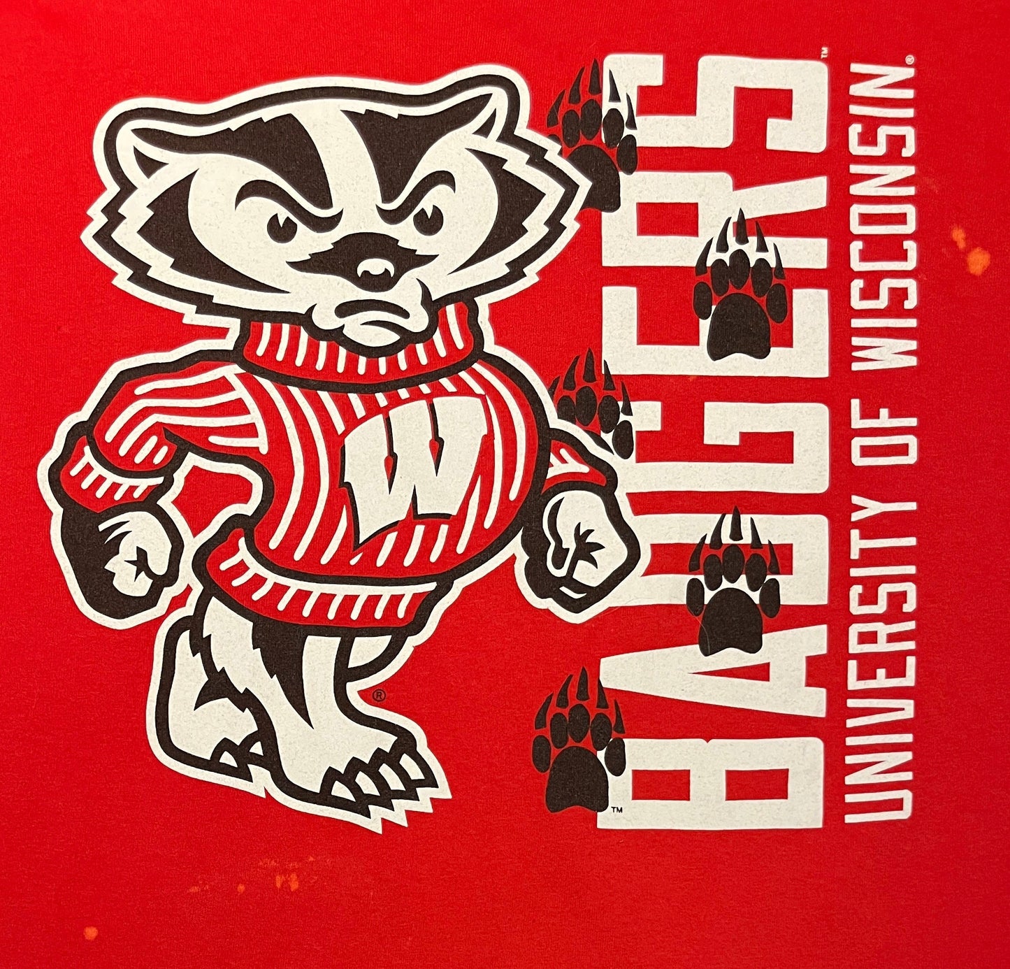 University Of Wisconsin Badgers Graphic Tee | Size Large | Vintage 2000s College Sports Red T-Shirt | Free Shipping to USA |