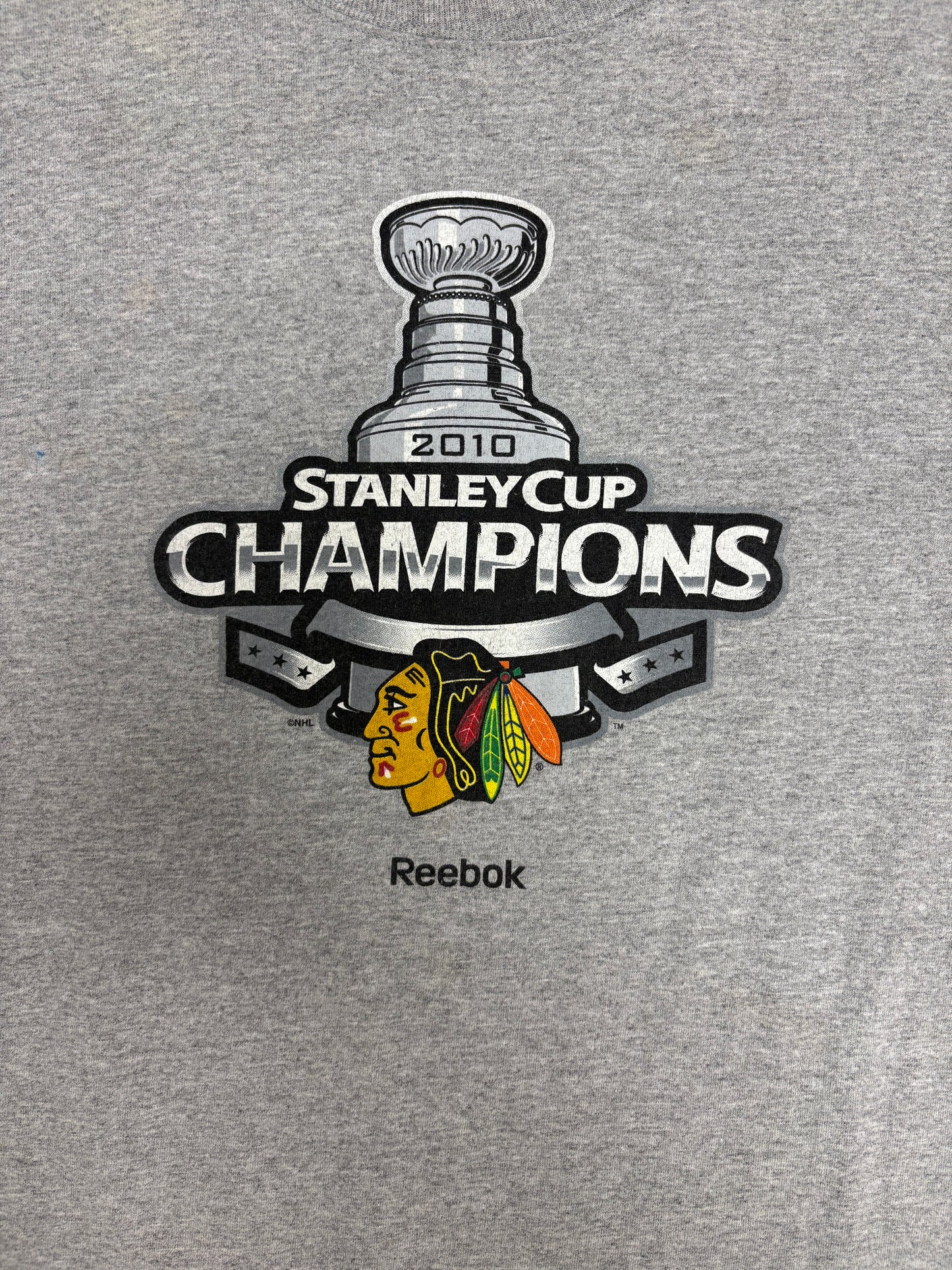 Chicago Blackhawks Stanley Cup Champions 2010 Graphic Tee | Size Large | Vintage 2000s NHL Hockey Grey T-Shirt |