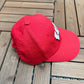 Wisconsin Badgers Embroidered Graphic Hat | Snap Back | Vintage 2000s College Sports Red Cap |