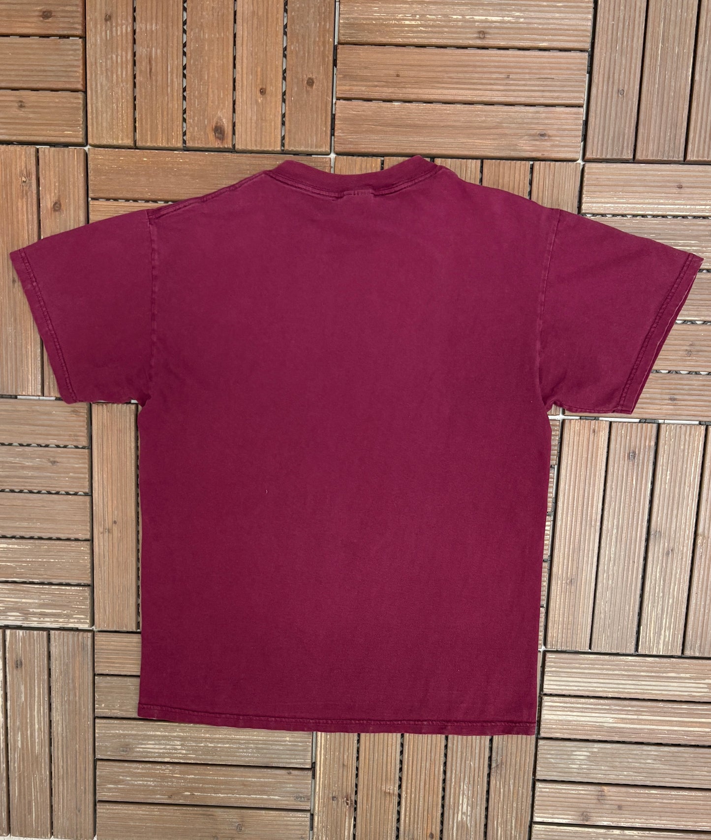 Whole In One Colossians 2:10 Graphic Tee | Size Large | Vintage 2000s Religion Red T-Shirt |