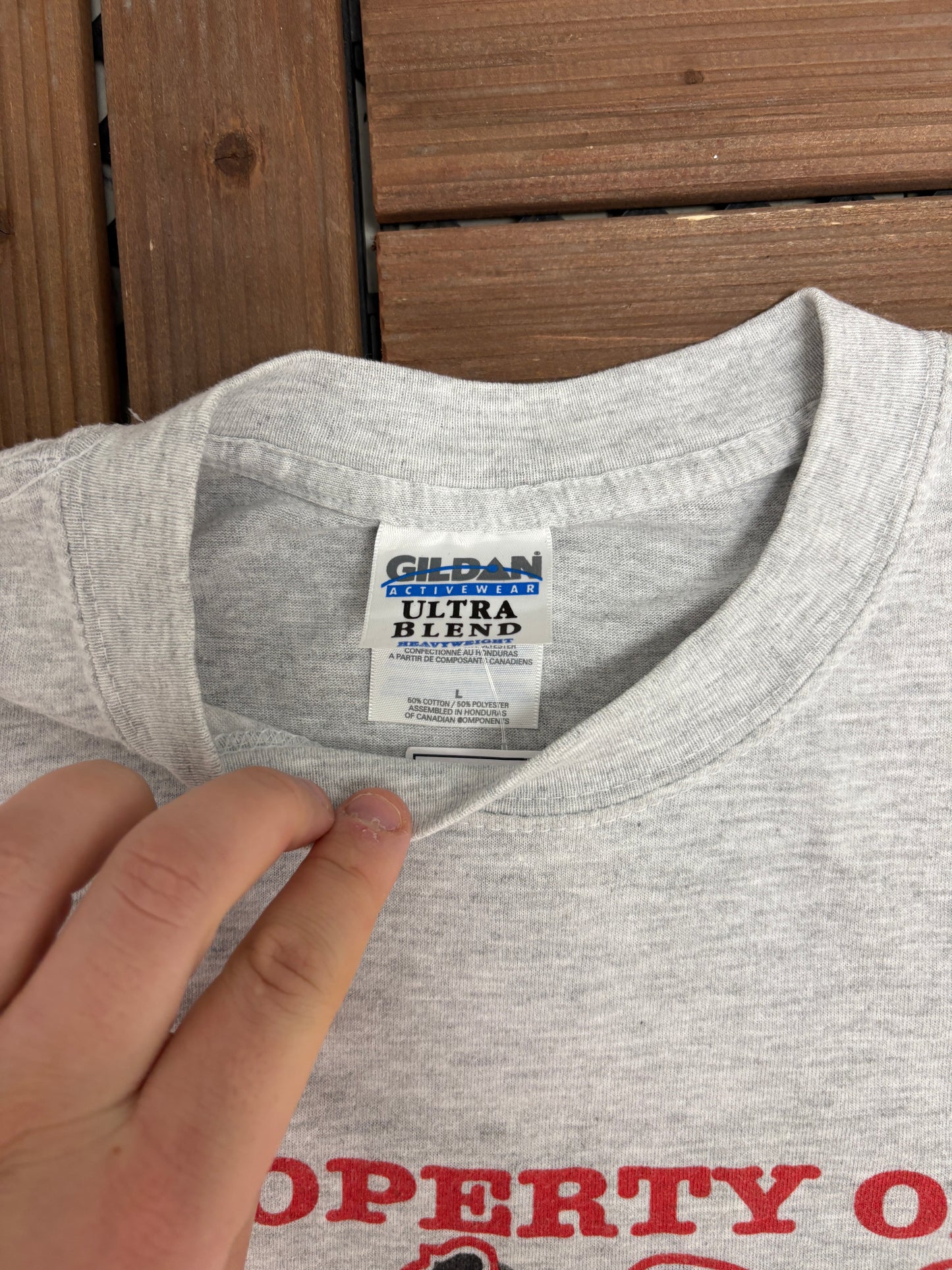 Property of D.A.R.E. Program Graphic Tee | Size Large | Vintage 1990s Promotional Grey T-Shirt |