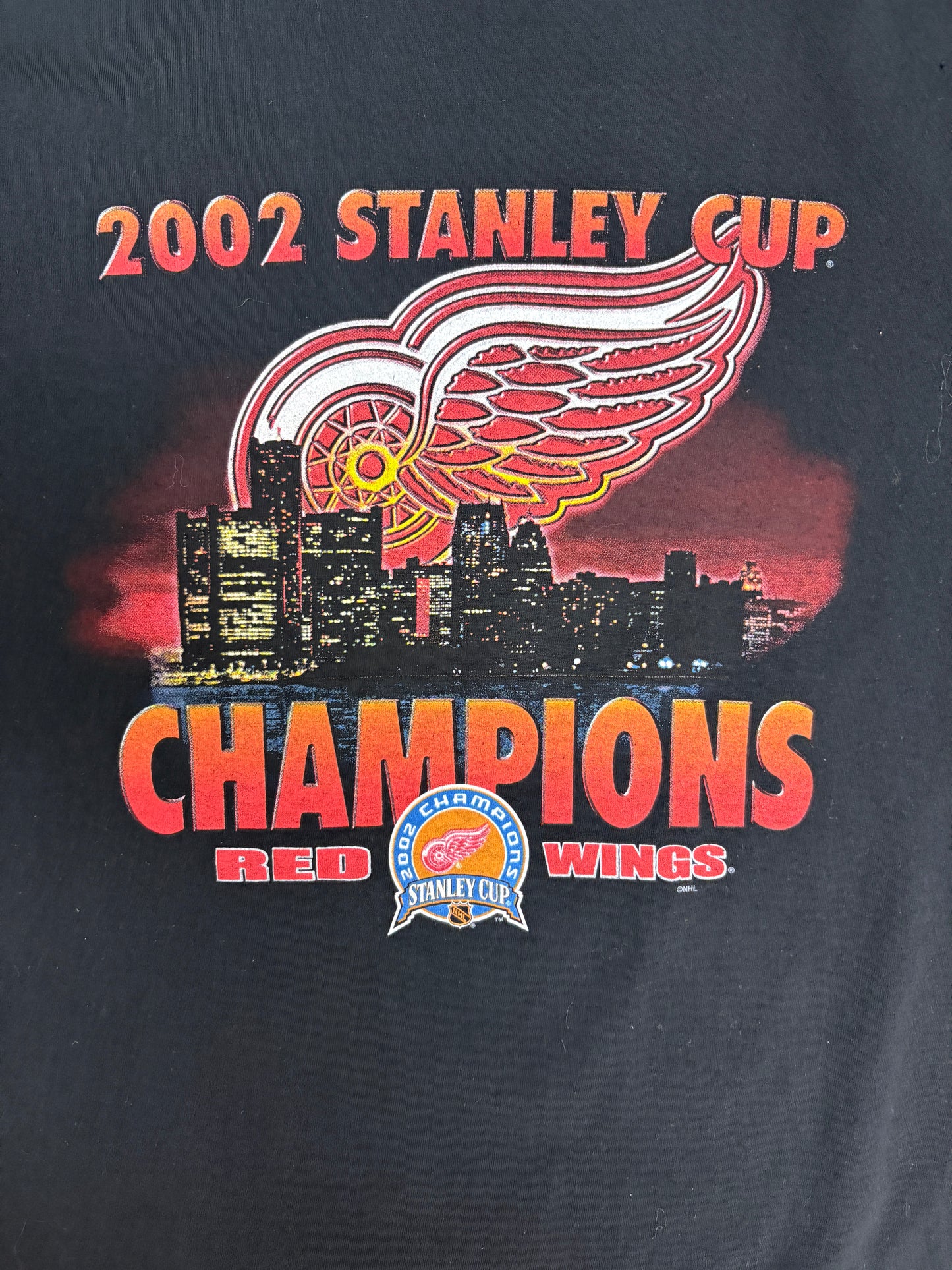 Detroit Red Wings 2002 Stanley Cup Champions Graphic Tee | Size Large | Vintage 2000s NHL Hockey Black T-Shirt |