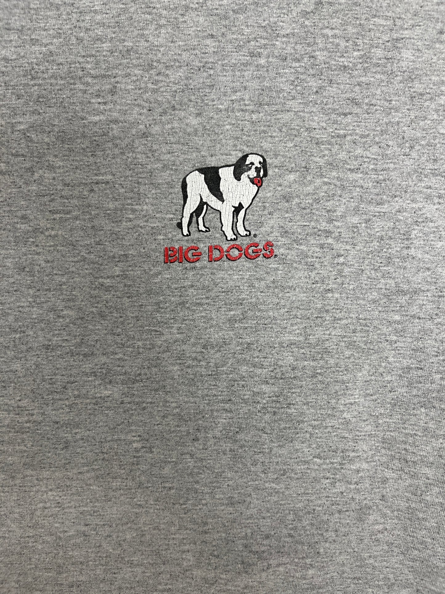 Big Dogs Hairy Pawter Graphic Tee | Size X-Large | Vintage 2000s Cartoon Dog Grey T-Shirt |