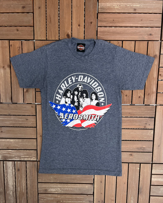 Harley Davidson Aerosmith Graphic Tee | Size Small | Vintage 2000s Motorcycle Grey T-Shirt |