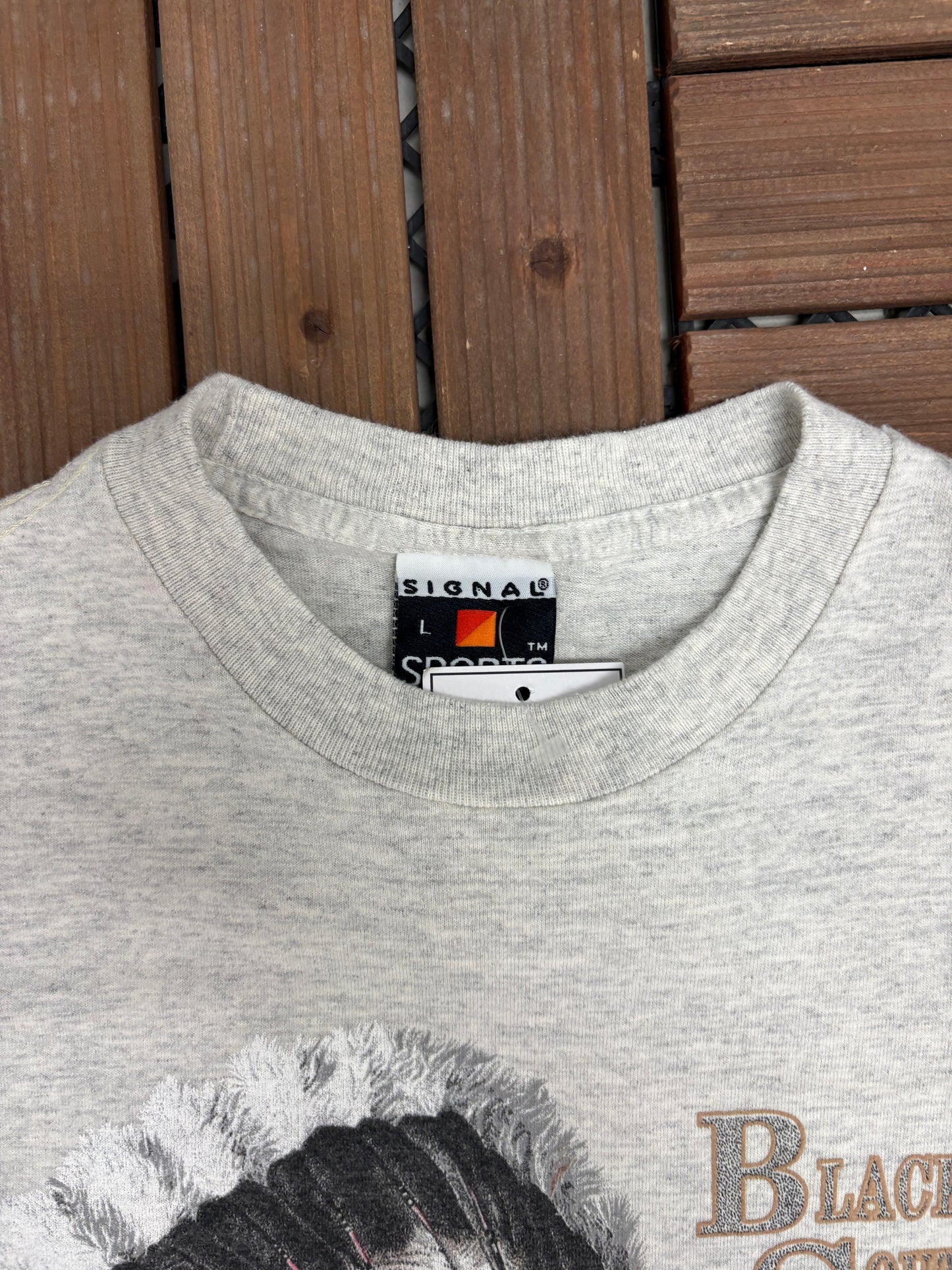 Black Hills, South Dakota Scenic Graphic Tee | Size Large | Vintage 1990s Tourist Grey T-Shirt |