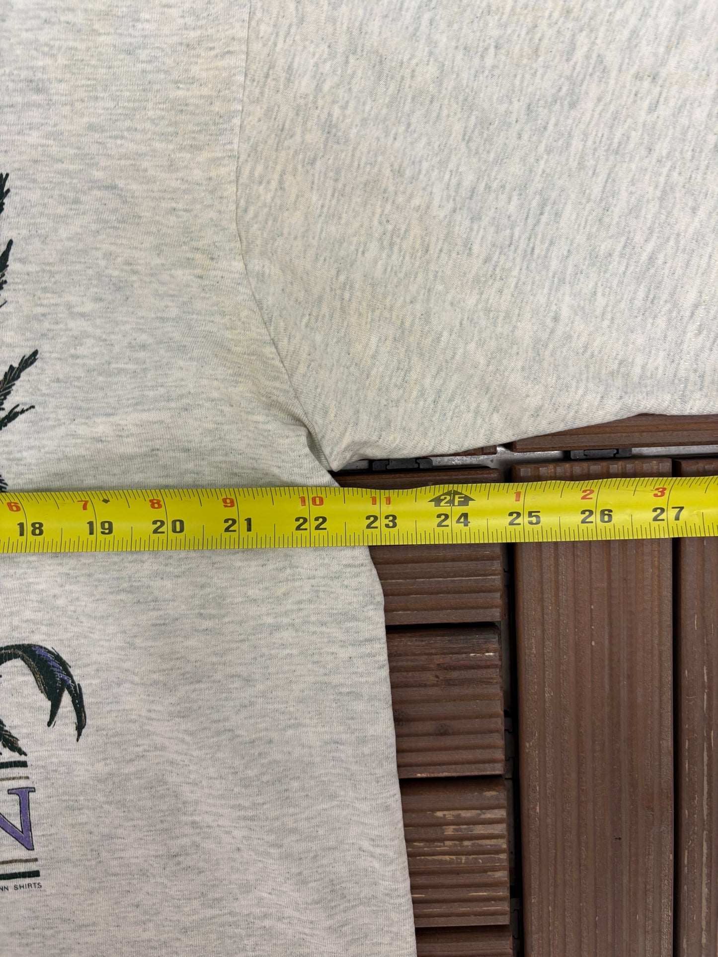 Michigan Tourist Graphic Tee | Size X-Large | Vintage 1990s Single Stitch Grey T-Shirt |