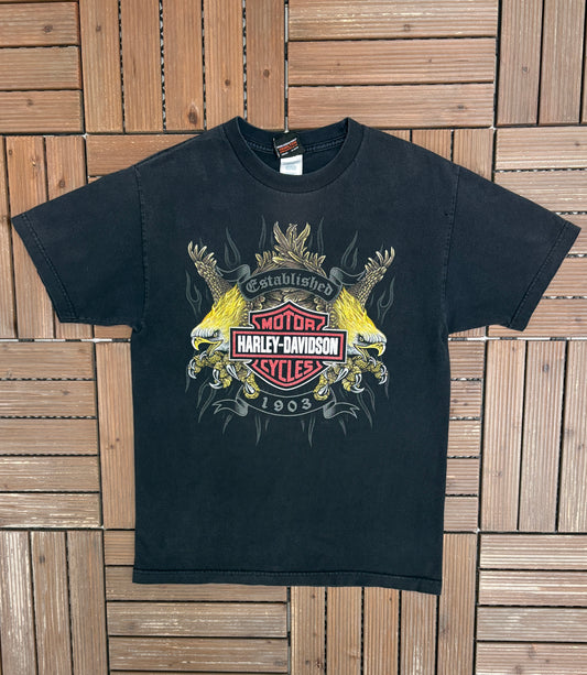 Harley Davidson Thunder Bay, Canada Graphic Tee | Size Medium | Vintage 2000s Motorcycle Black T-Shirt |