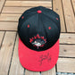 Ottawa Lynx Embroidered Graphic Hat | Size 7 1/2 | Vintage 2000s MiLB Baseball Black Cap |