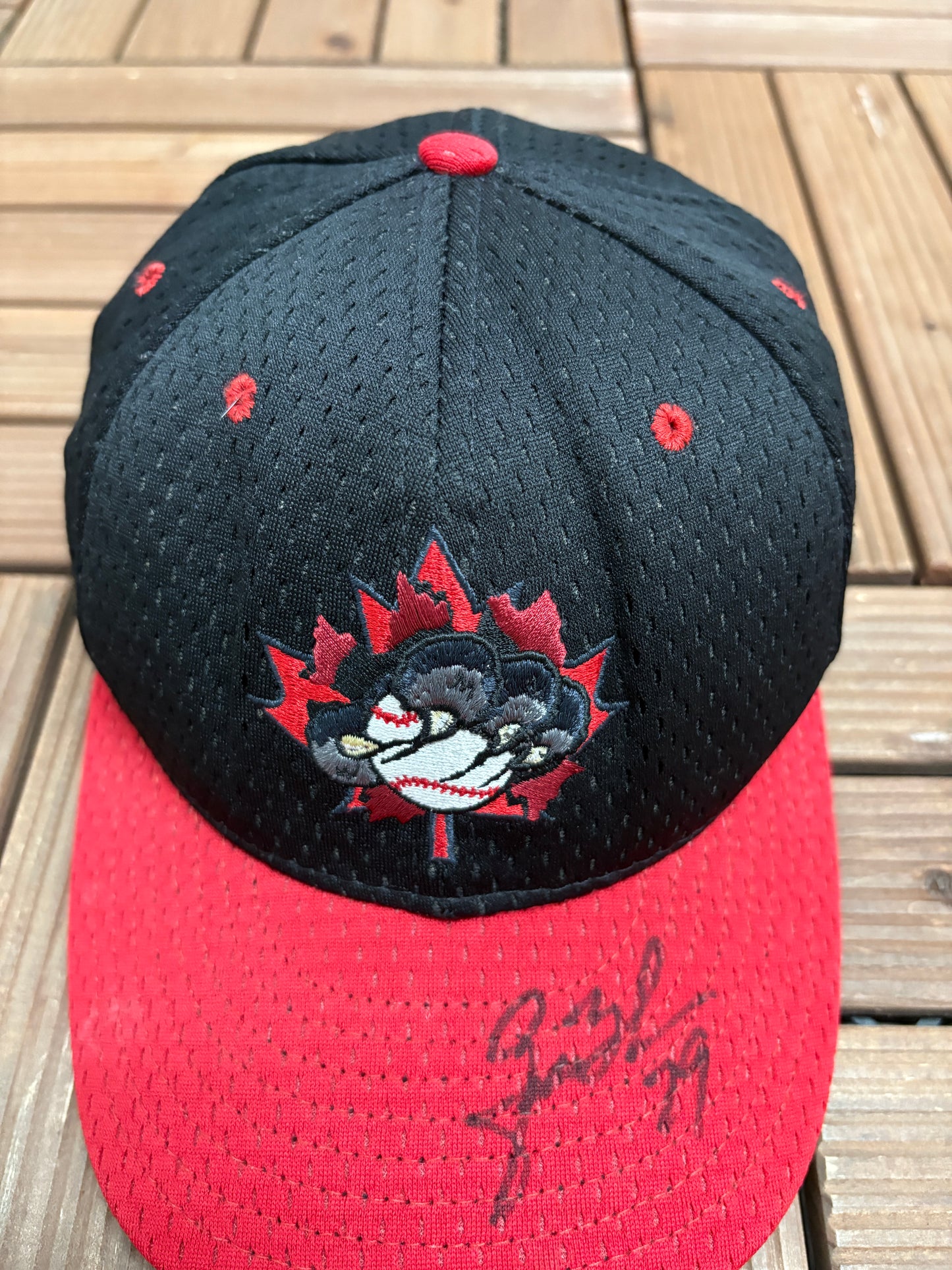 Ottawa Lynx Embroidered Graphic Hat | Size 7 1/2 | Vintage 2000s MiLB Baseball Black Cap |