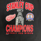 Detroit Red Wings Stanley Cup Champions 2002 Graphic Tee | Size X-Large | Vintage 2000s NHL Hockey Black T-Shirt |