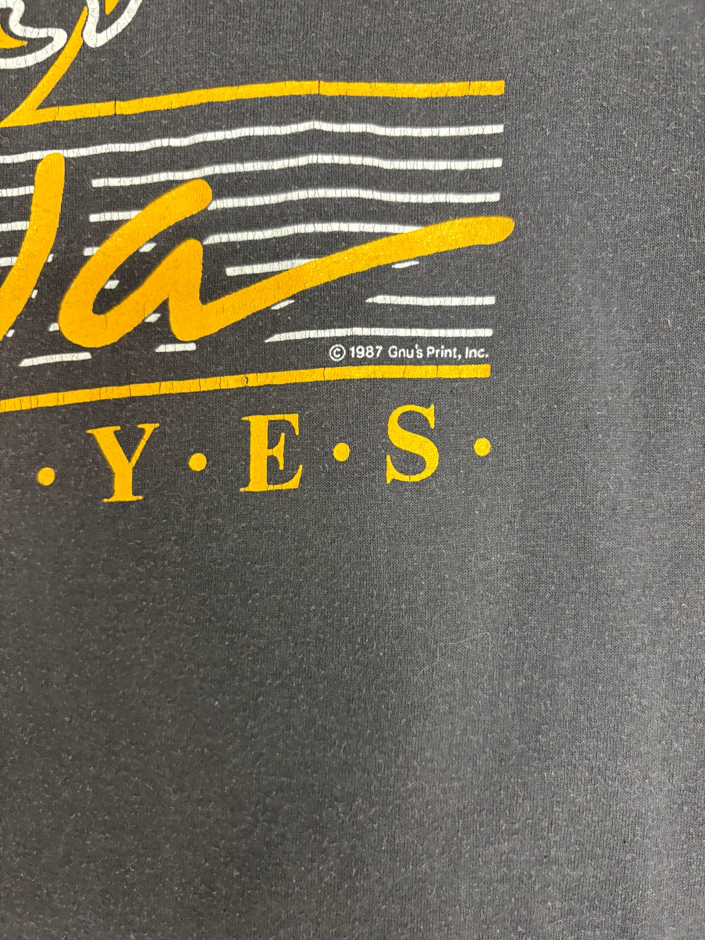Iowa Hawkeyes Graphic Tee | Size Large | Vintage 1980s College Black T-Shirt |